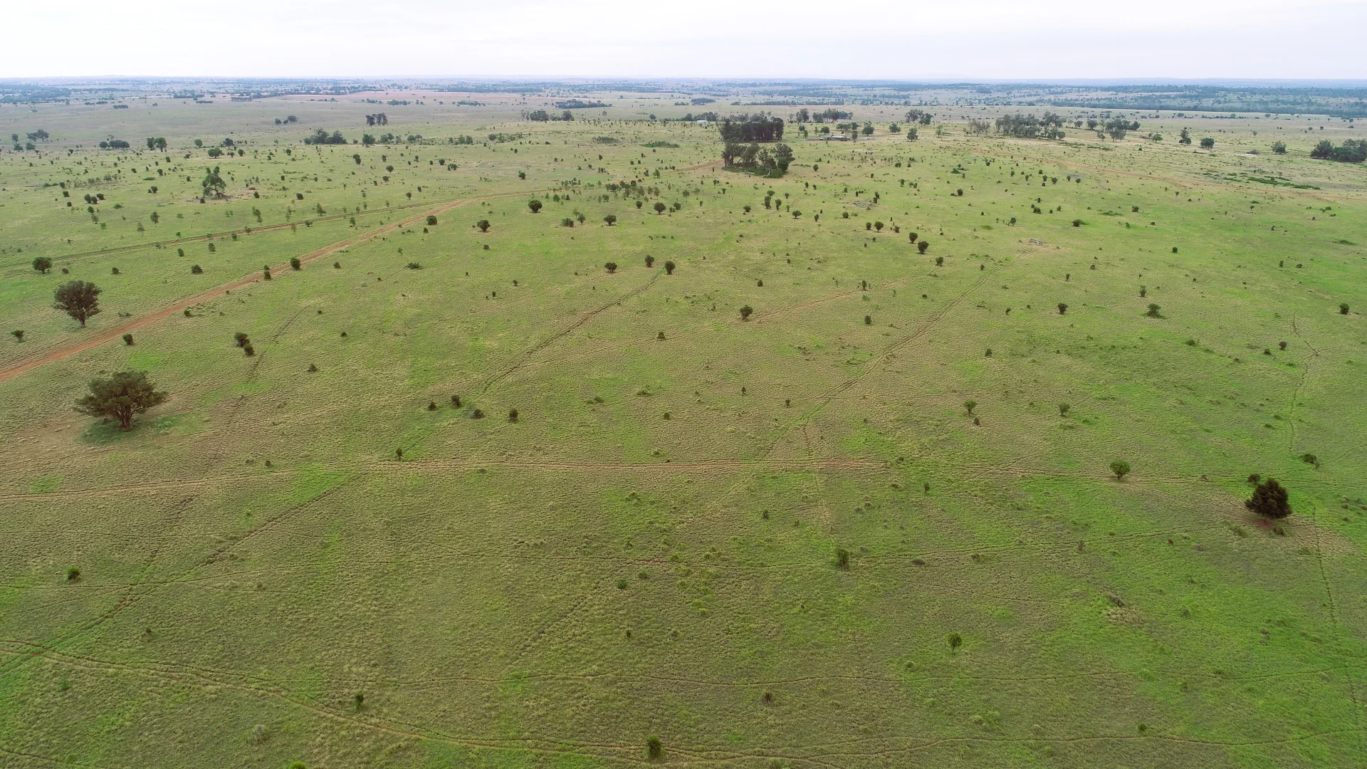 Additional image 10 of 'Bracco' Orallo Road, Roma QLD 4455