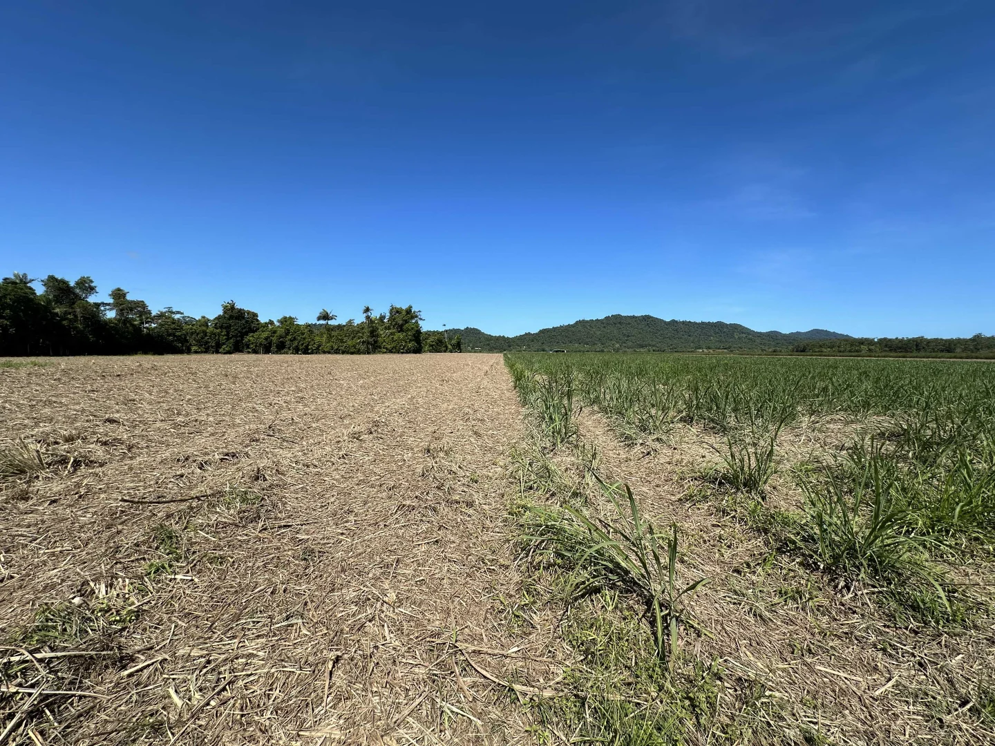 Additional image 14 of East Feluga QLD 4854