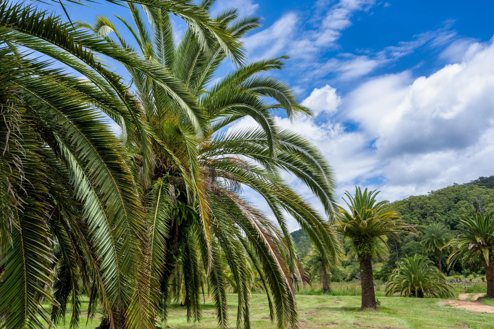 Additional image 4 of 50-52 Palmers Road, Terragon NSW 2484