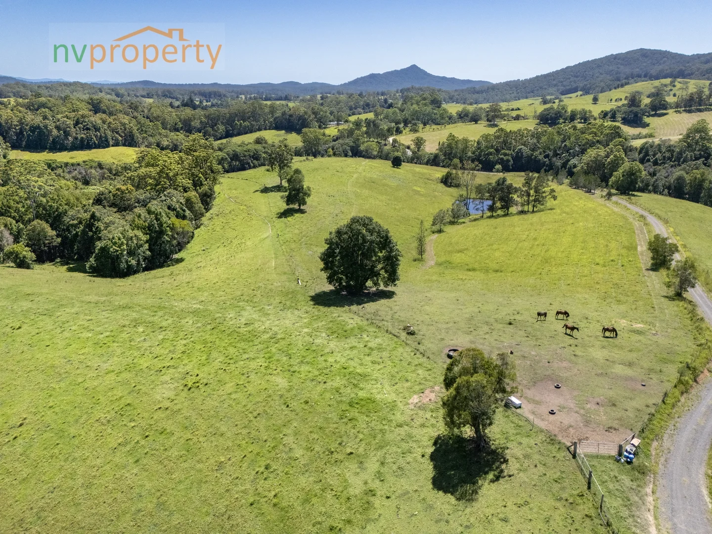 Additional image 7 of 657 Newee Creek Road, Newee Creek NSW 2447