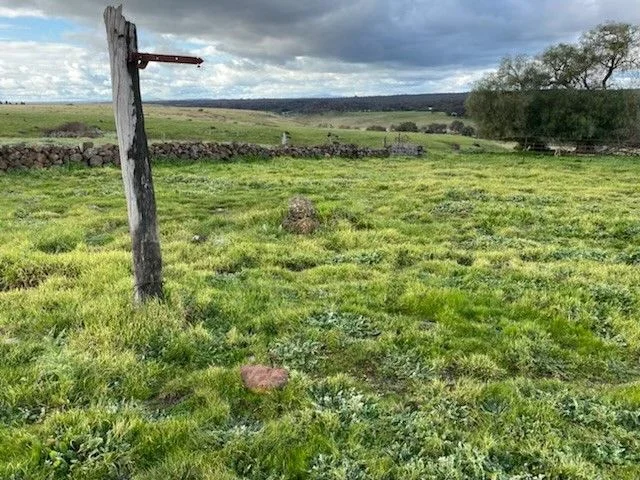 Additional image 5 of 31B/259 Greenoch Road, Red Lion VIC 3371