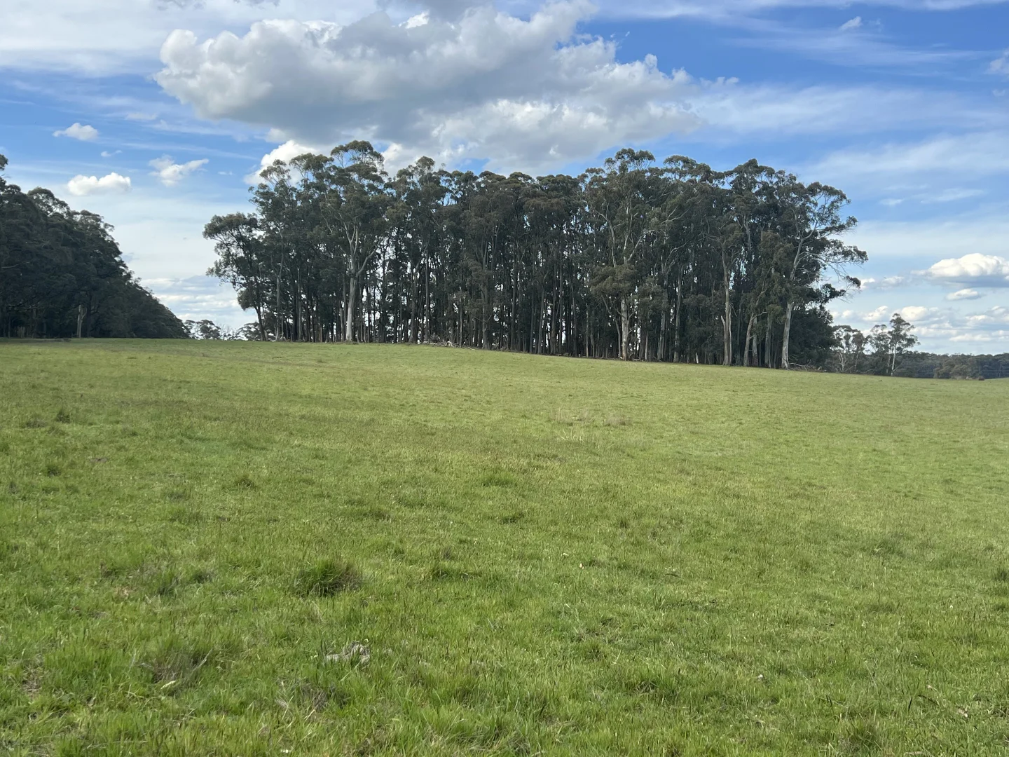 Additional image 5 of C/A 3 Birranes Road, Ashbourne VIC 3442