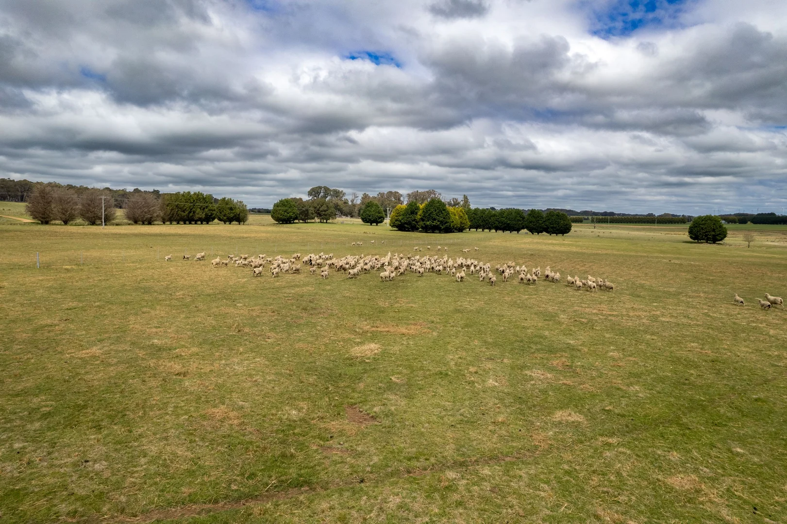 Additional image 6 of 862 kialla road, Crookwell NSW 2583