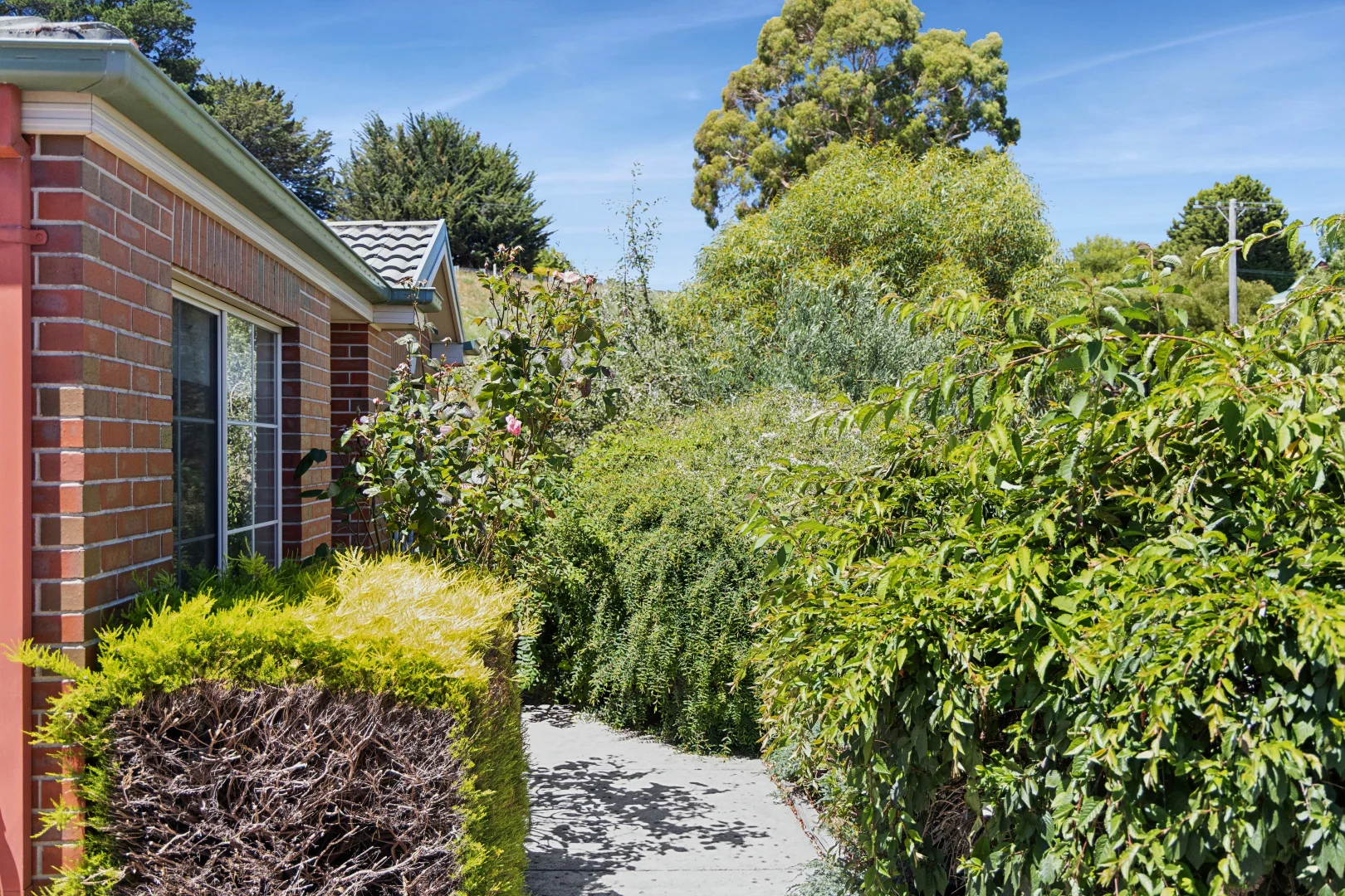 Additional image 19 of 1 Albert Lane, Daylesford VIC 3460