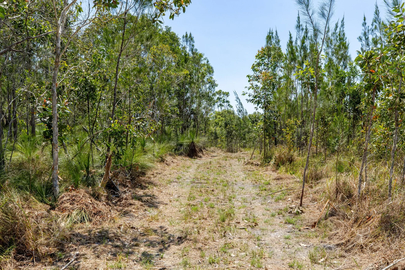 Additional image 7 of Lot 92/96 Mary Jane Drive, Julatten QLD 4871