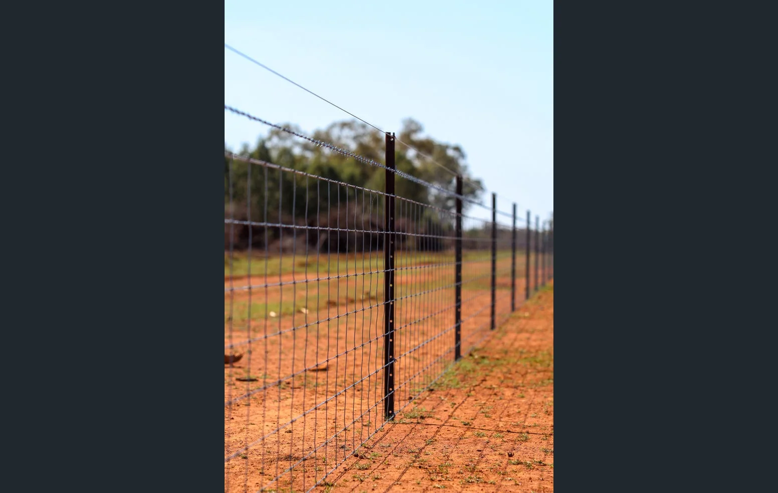 Additional image 26 of 'Black Range' 2880 Tallebung Road, Eremerang NSW 2877