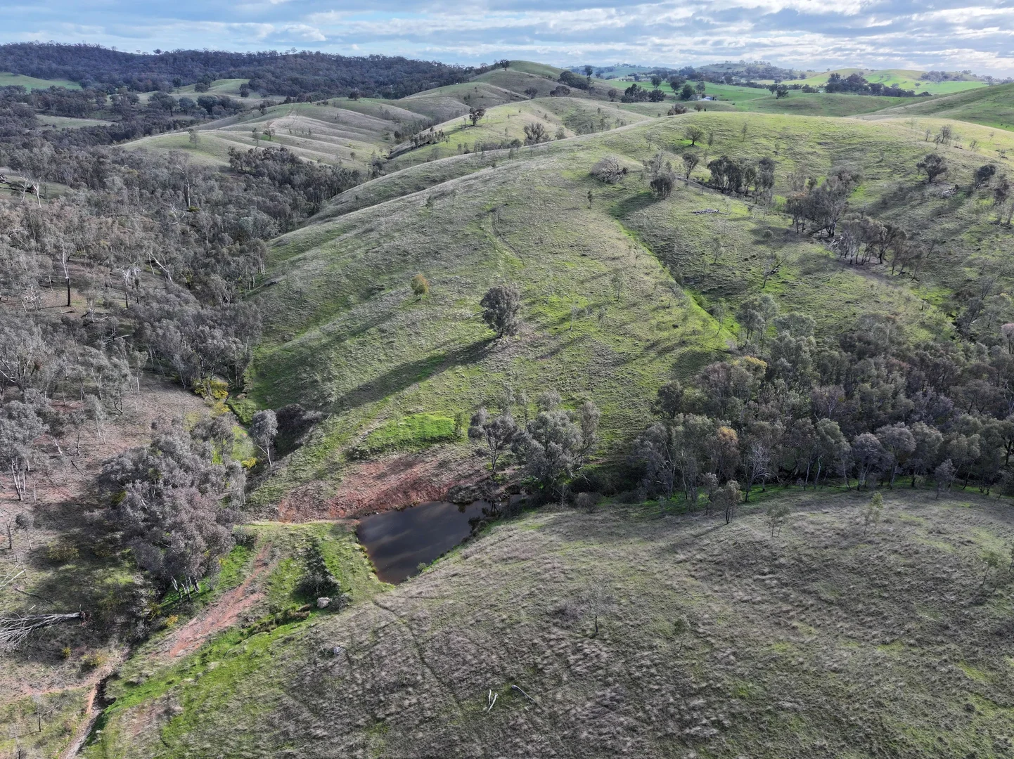 Additional image 15 of 'Rosewood' 850 Pulletop Road, Big Springs NSW 2650