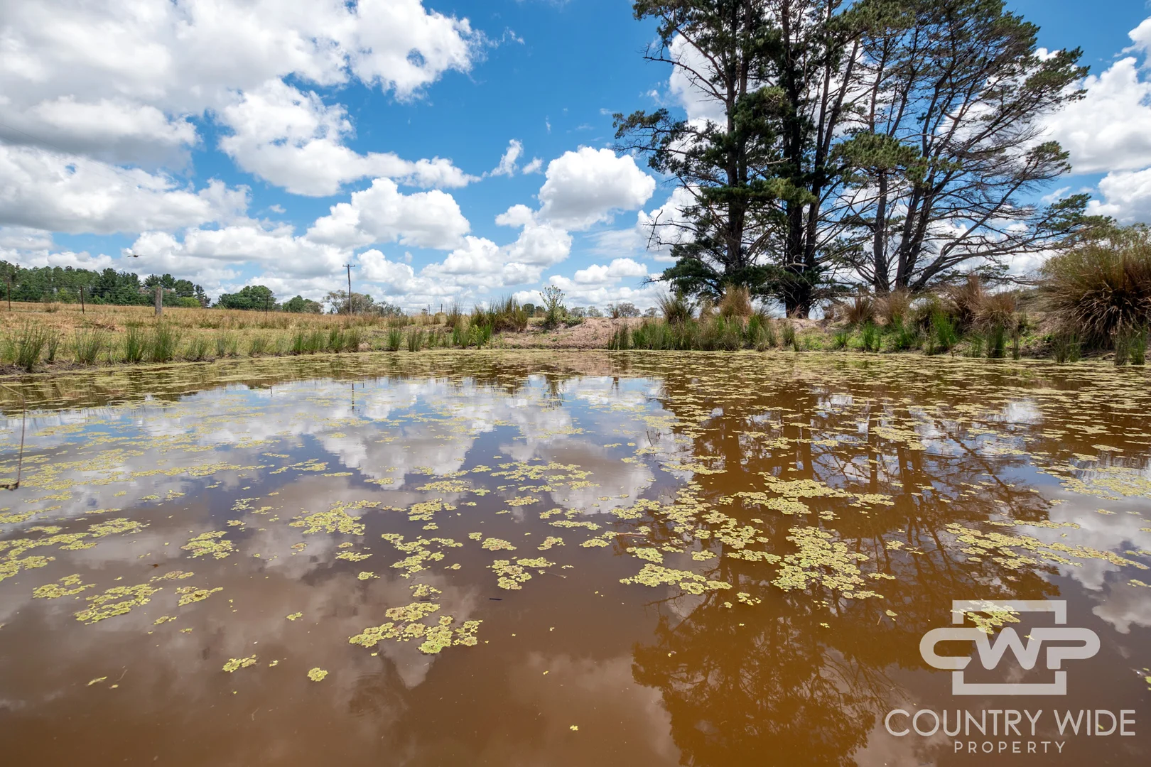 Additional image 28 of 1651 Shannon Vale Road, Shannon Vale NSW 2370