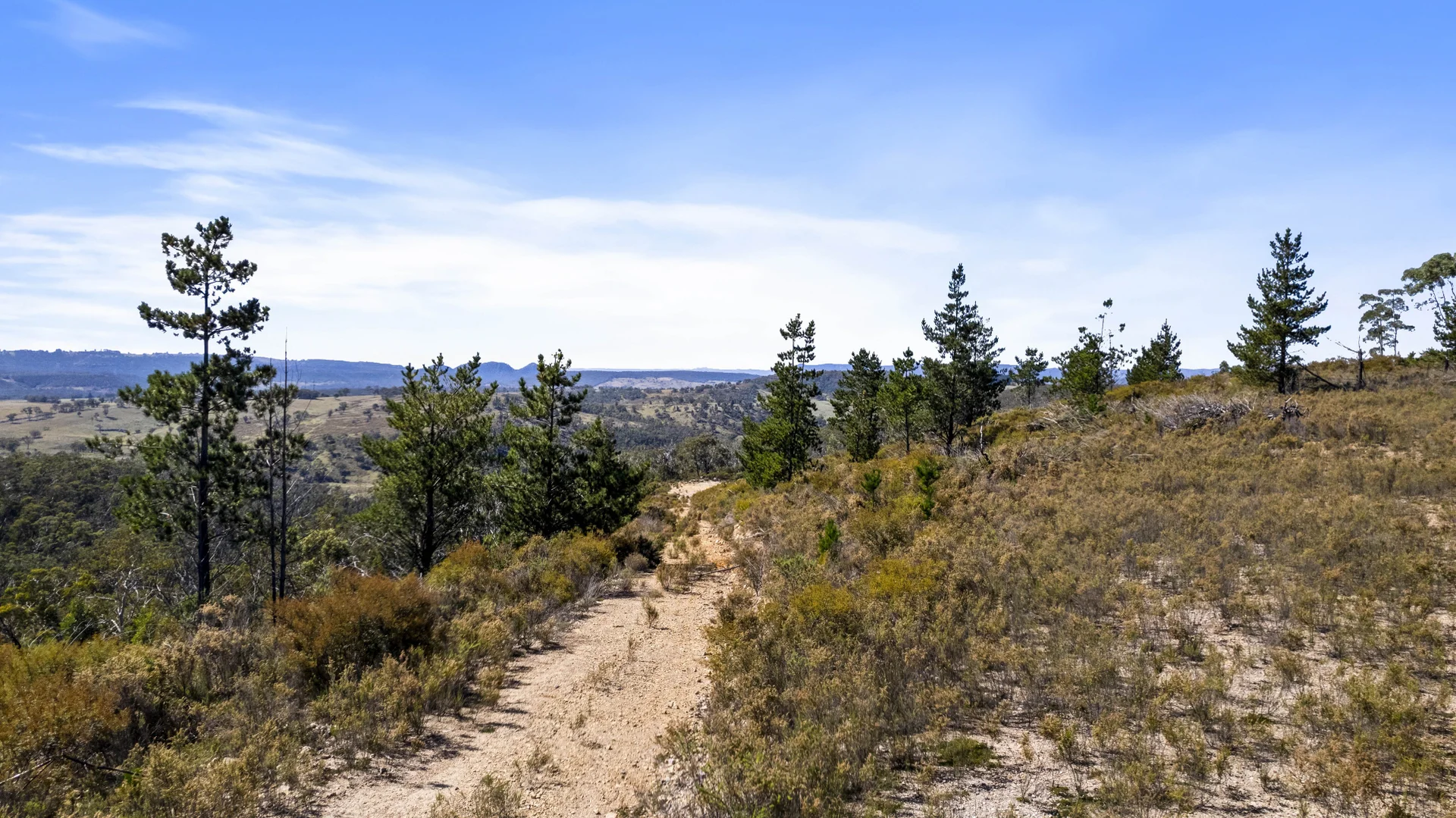 Additional image 5 of 267 New Olivers Road, Running Stream NSW 2850