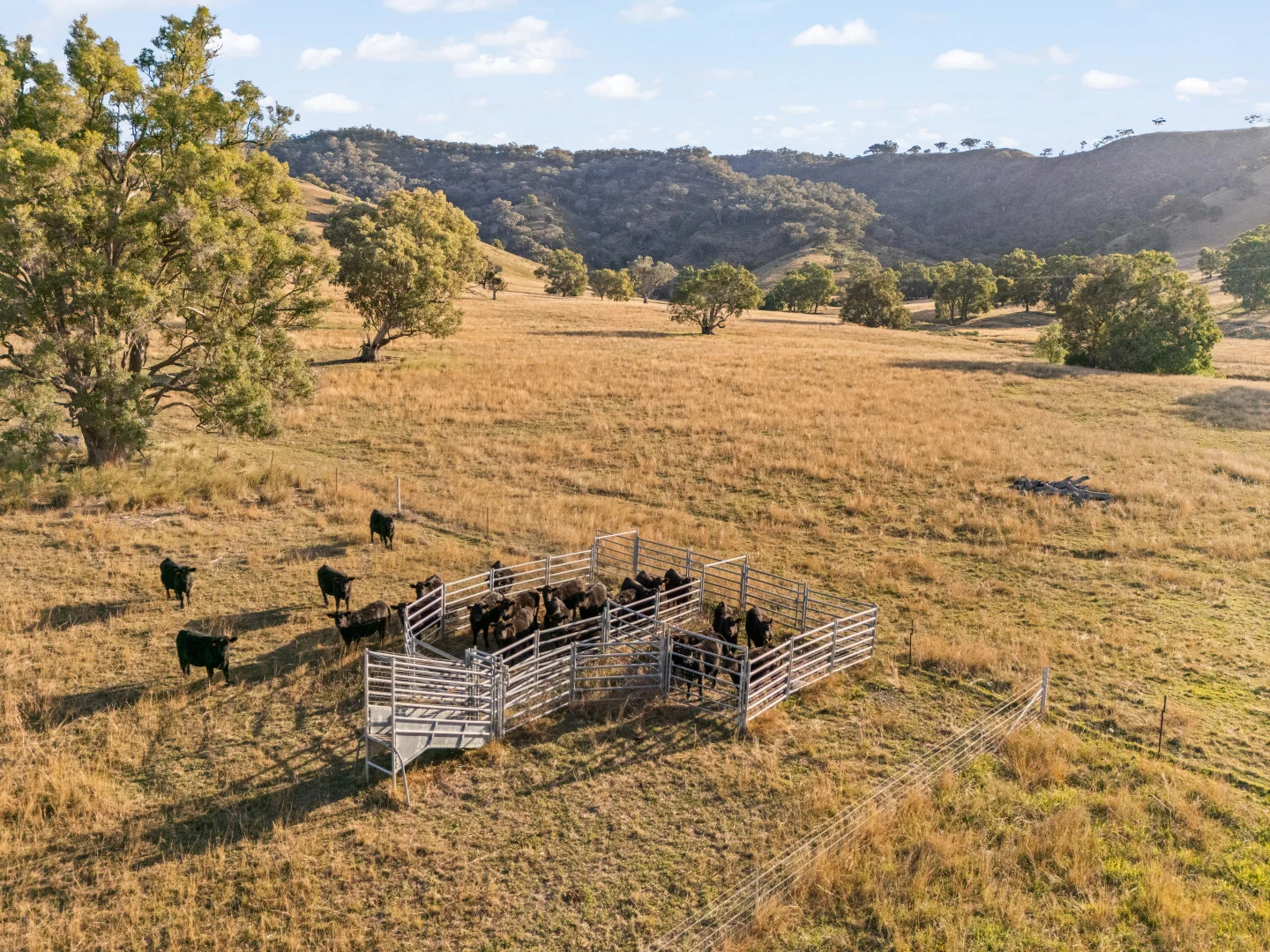 Additional image 20 of 688 Queens Pinch Road, Mudgee NSW 2850