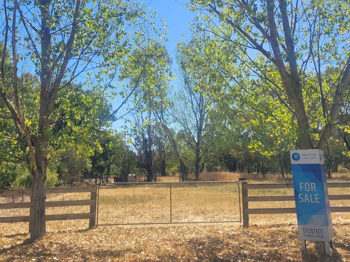 5 Rowe Street, Mansfield VIC 3722