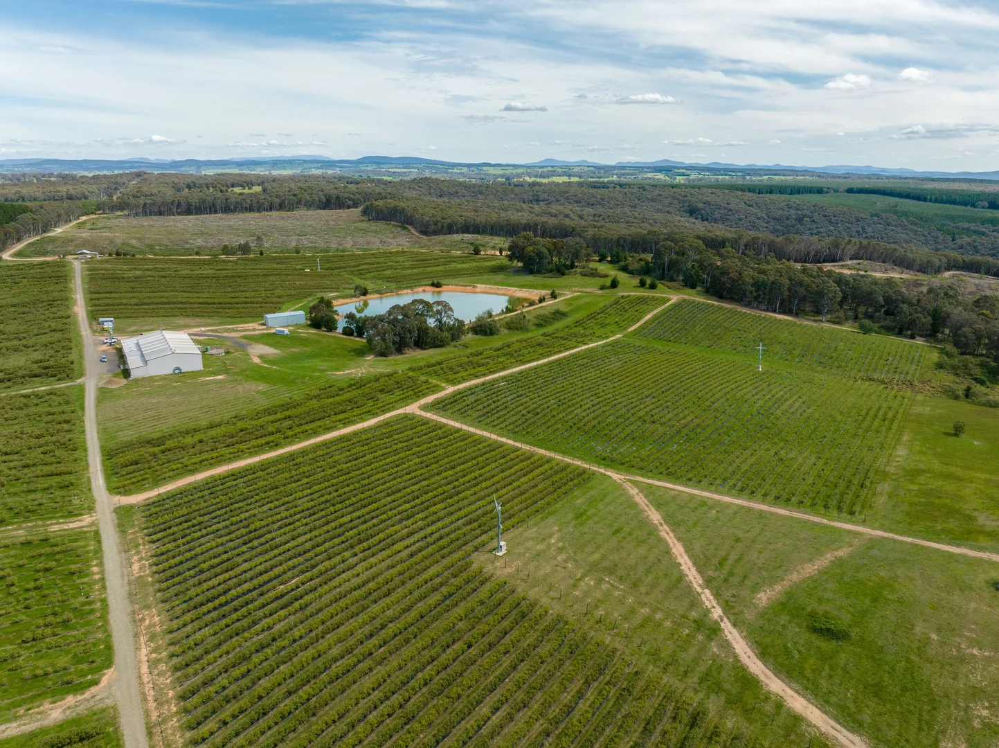 Additional image 8 of Courabyra NSW 2653