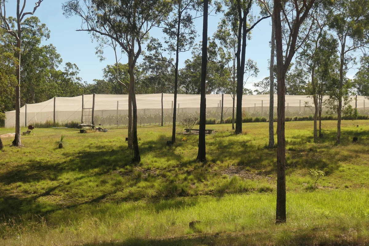 Additional image 12 of Bulldog NSW 2469