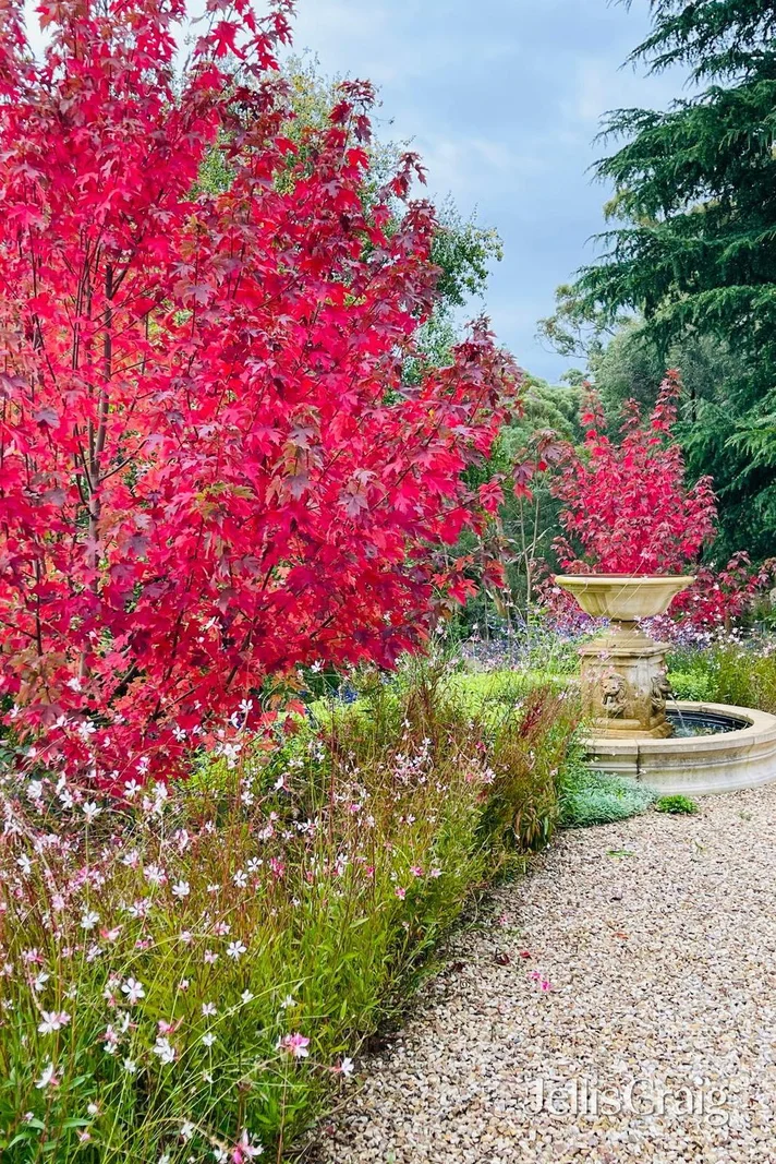 Additional image 22 of 1 Frame Avenue, Hepburn VIC 3461