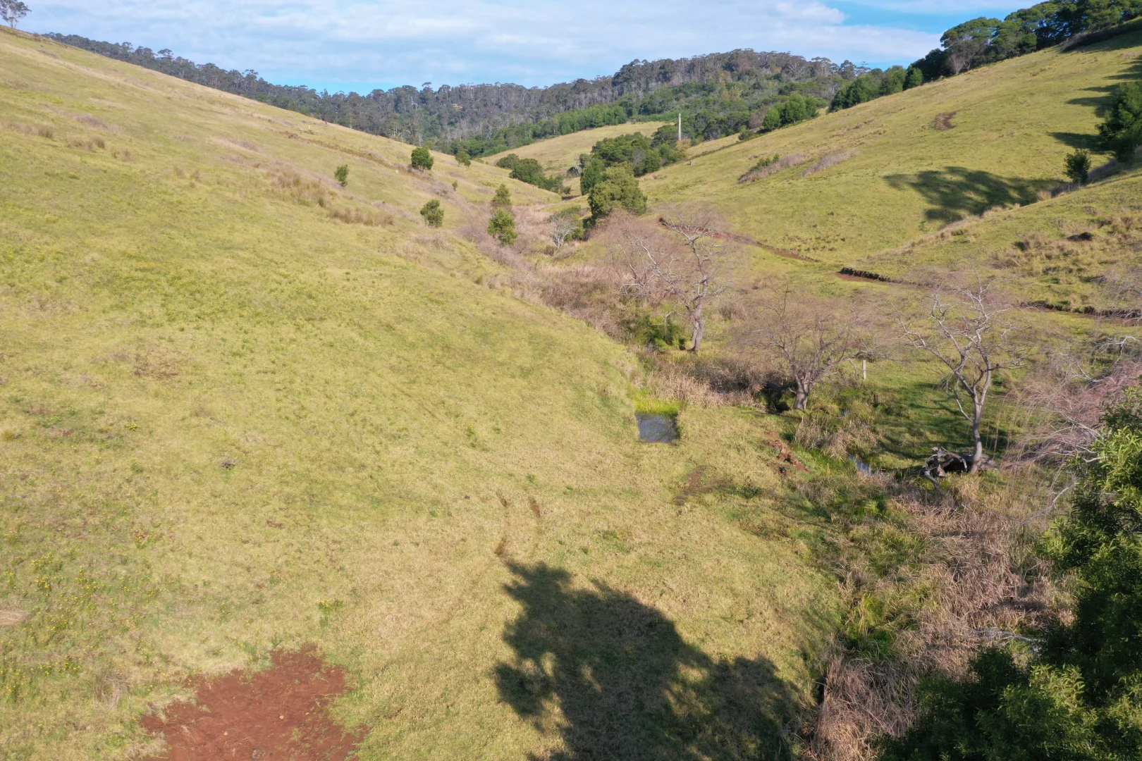 Additional image 13 of Lot 23 Fourter Road, Nethercote NSW 2549