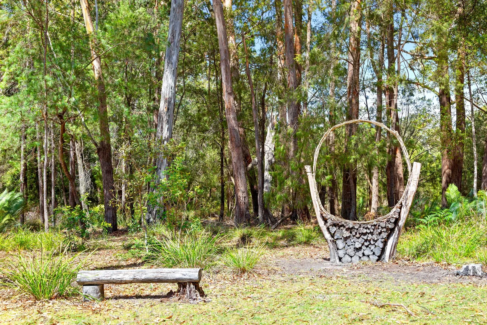 Additional image 30 of 343 Bingie Road, Bingie NSW 2537