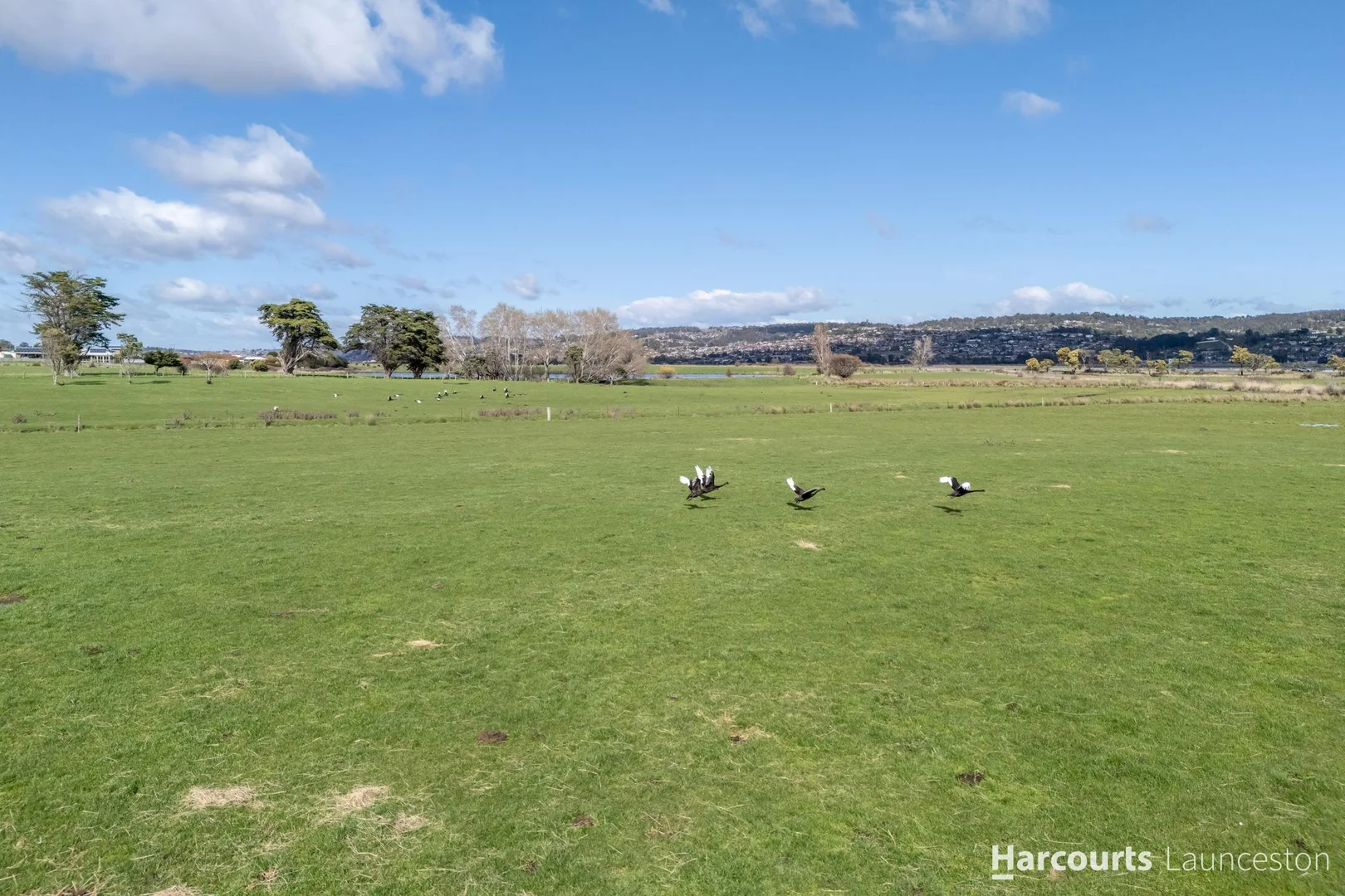 Additional image 32 of 251-259 Alanvale Road, Newnham TAS 7248