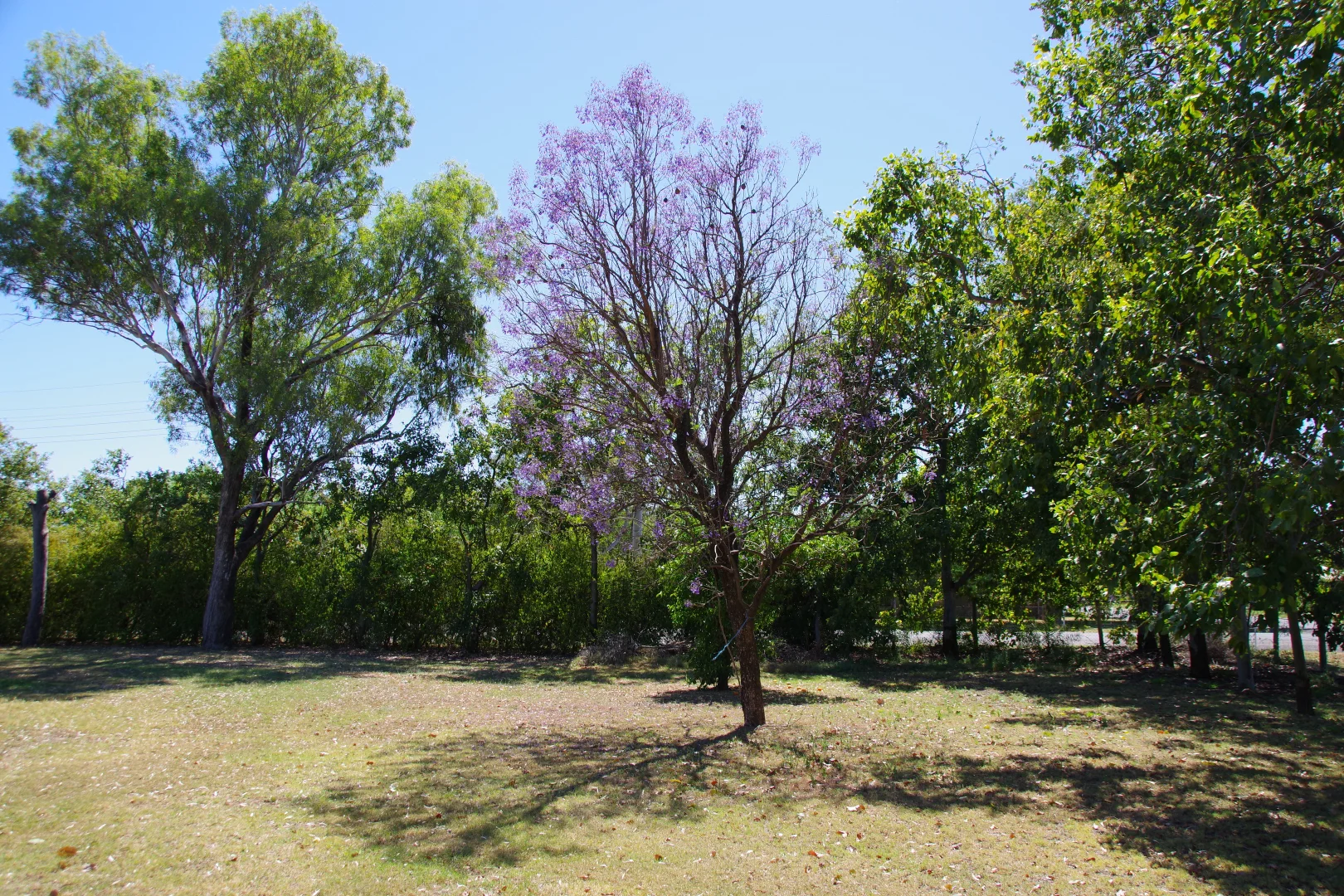 Additional image 26 of 9 Warrior Street, Wee Waa NSW 2388