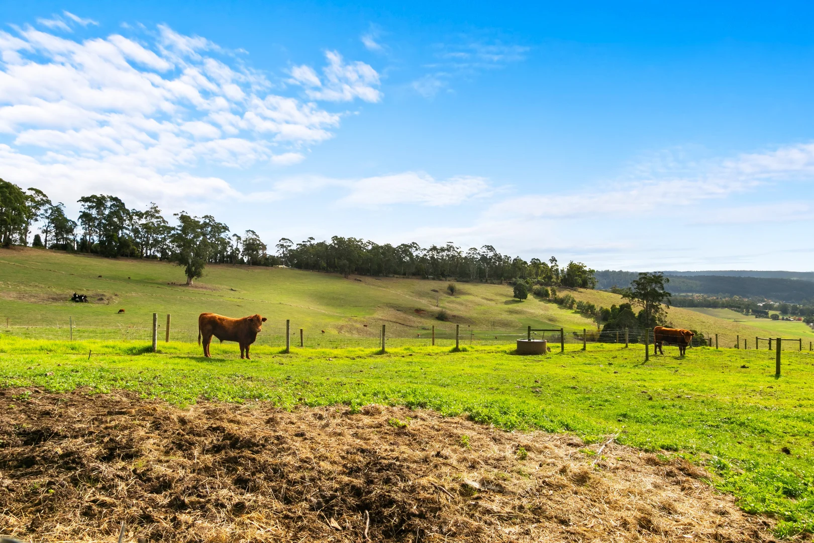 Additional image 28 of 265 Foster Road, Boolarra South VIC 3870