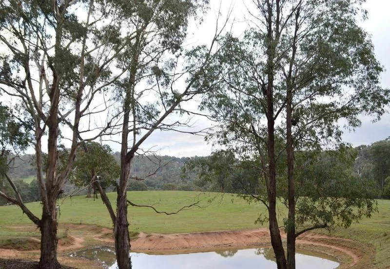 Additional image 4 of 95 Bago Forest Road, Tumbarumba NSW 2653