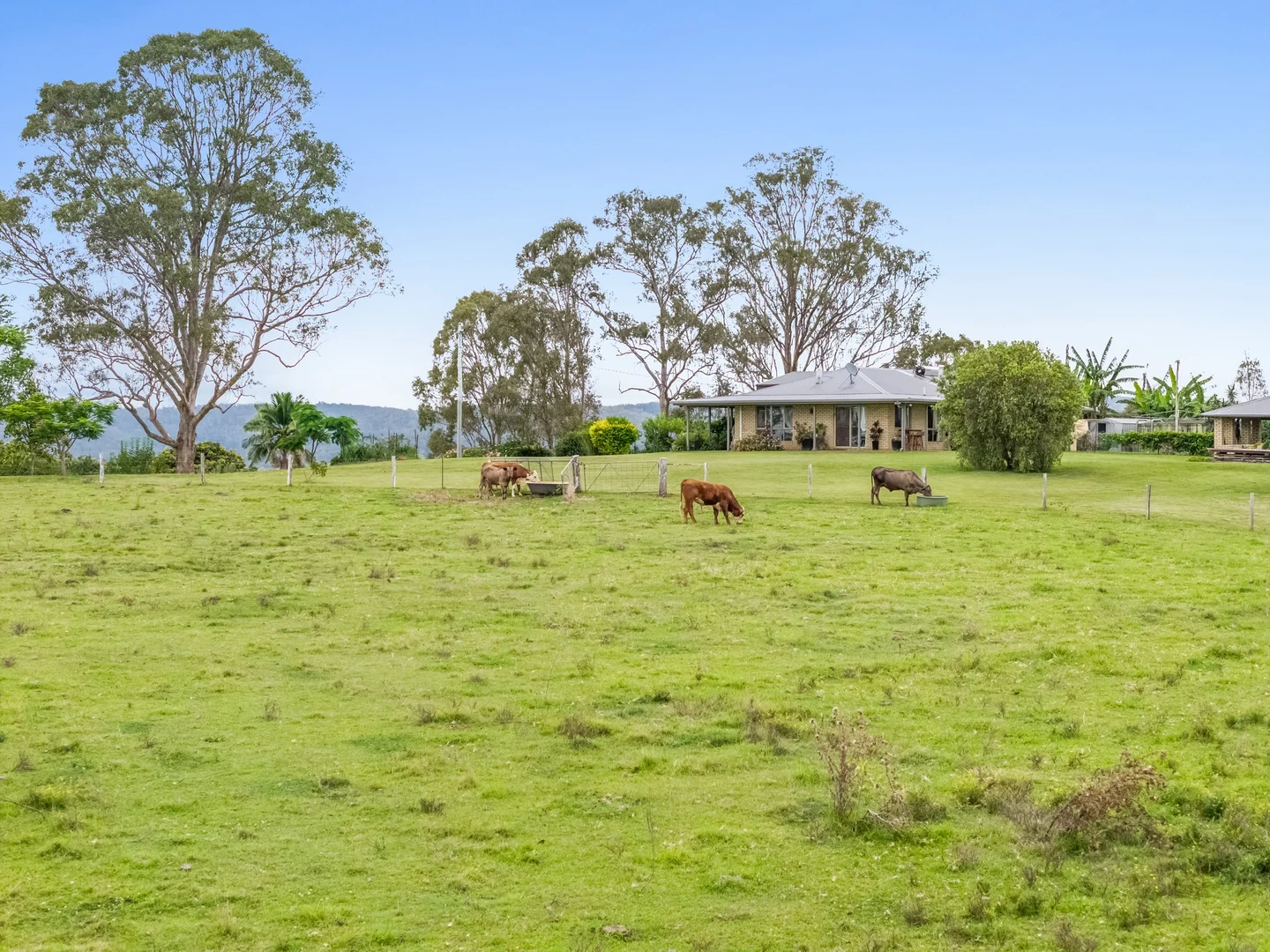 Additional image 27 of 4498 Bruxner Highway, Piora NSW 2470