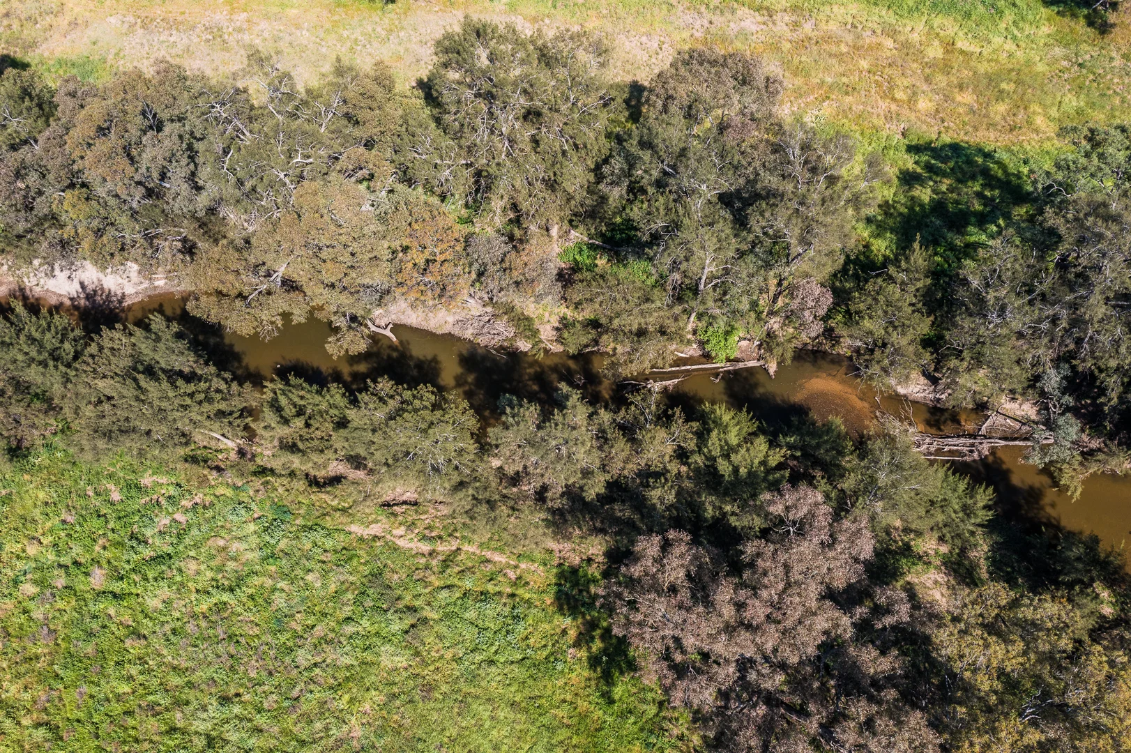 Additional image 12 of 4194 Twelve Mile Road, Gulgong NSW 2852