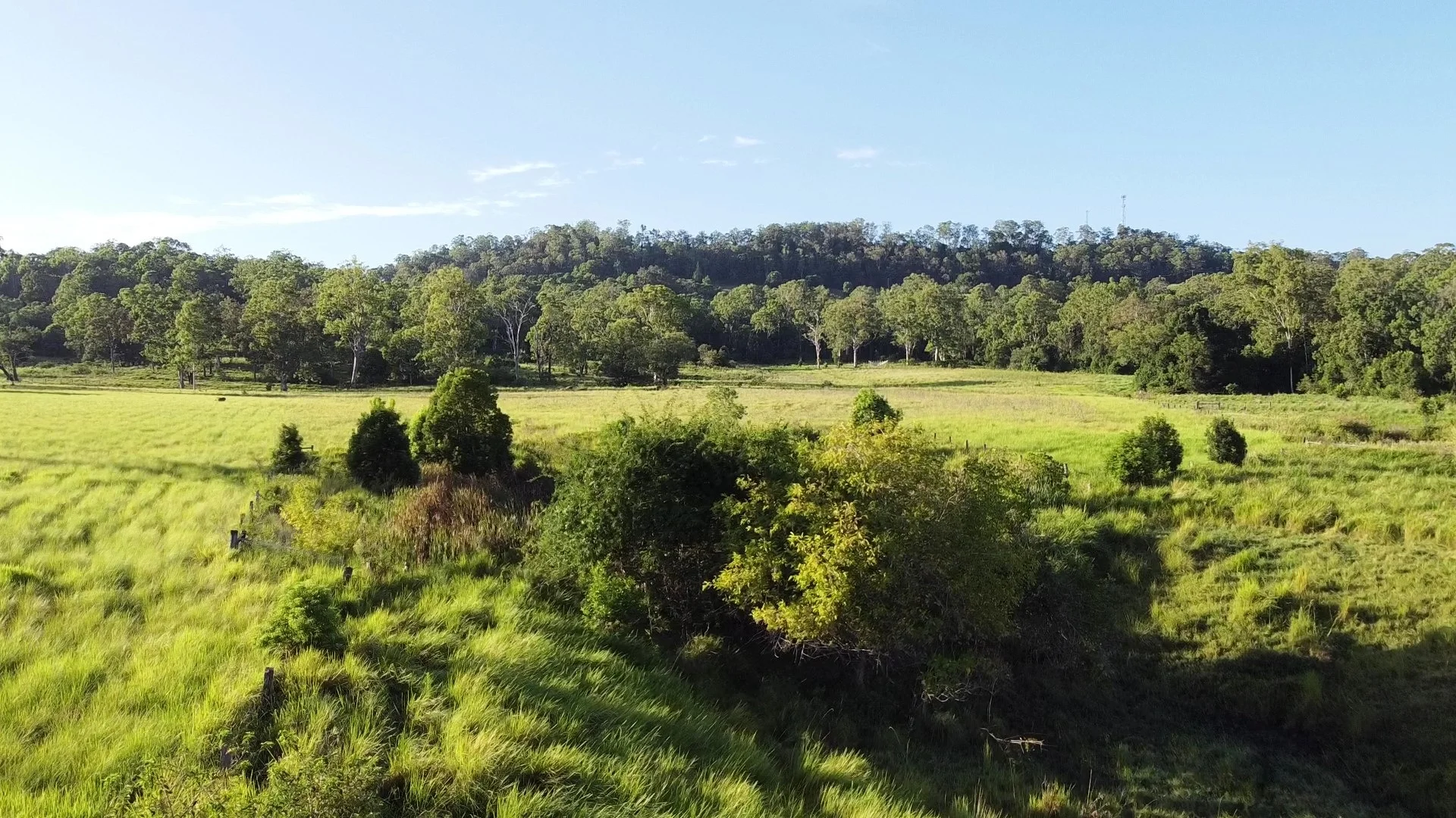 Additional image 13 of 1106 Naughtons Gap Road, Bentley NSW 2480