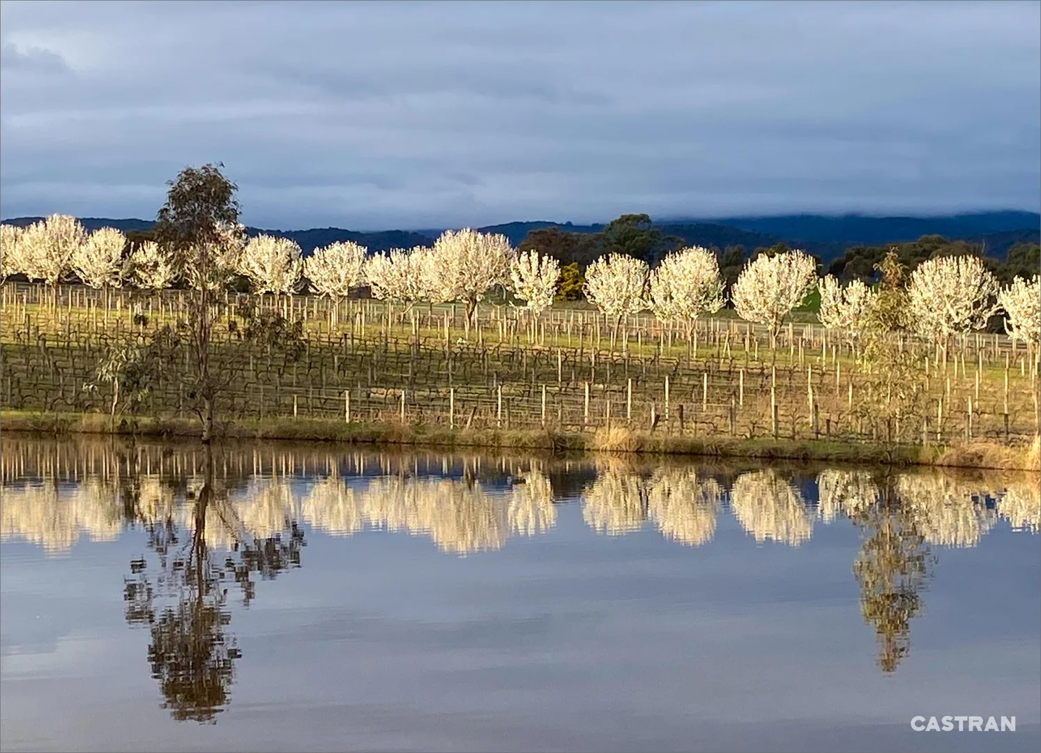 Additional image 32 of 110 Wills Road, Dixons Creek VIC 3775