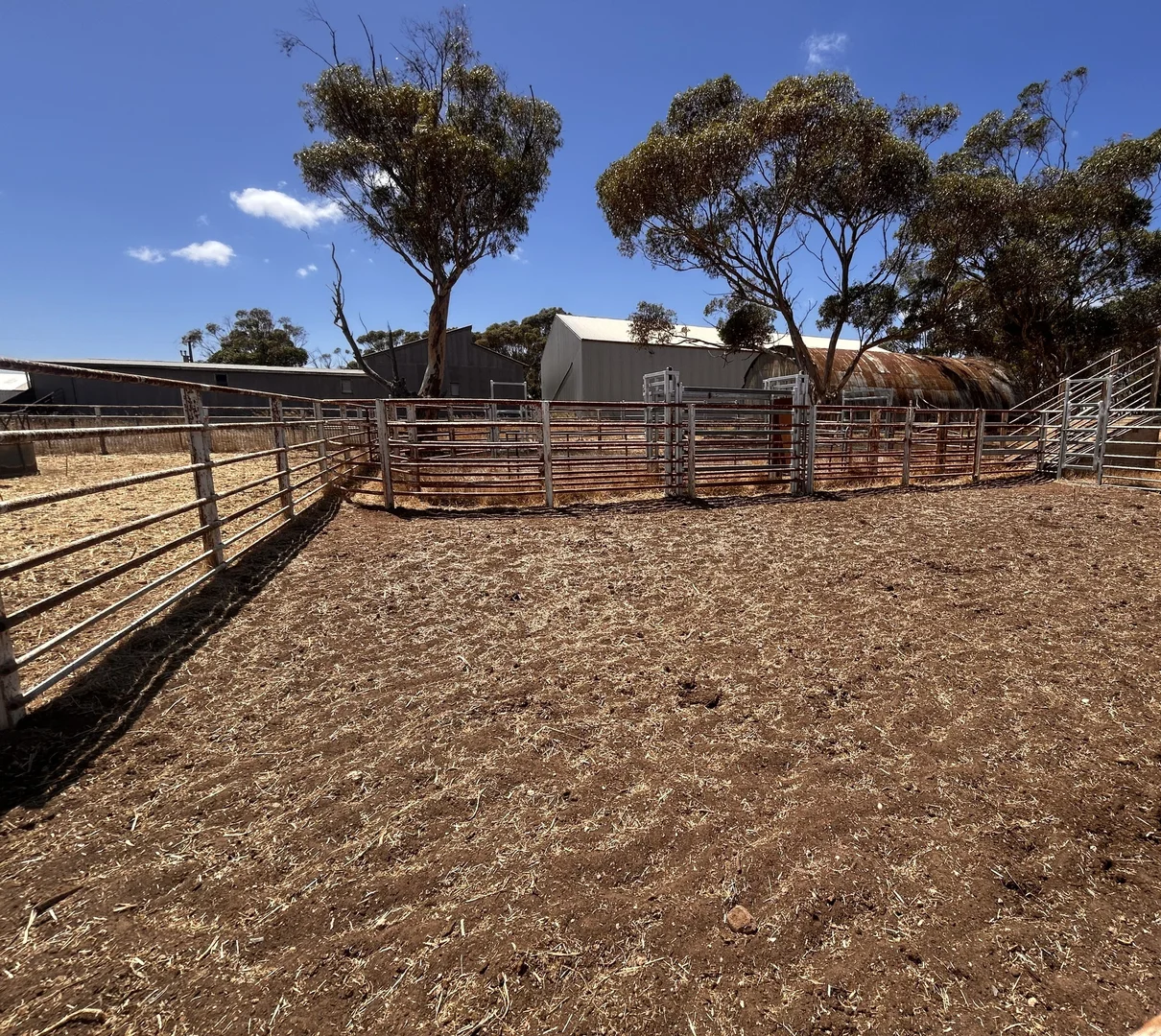 Additional image 9 of 114 Coconut Road, Paskeville SA 5552