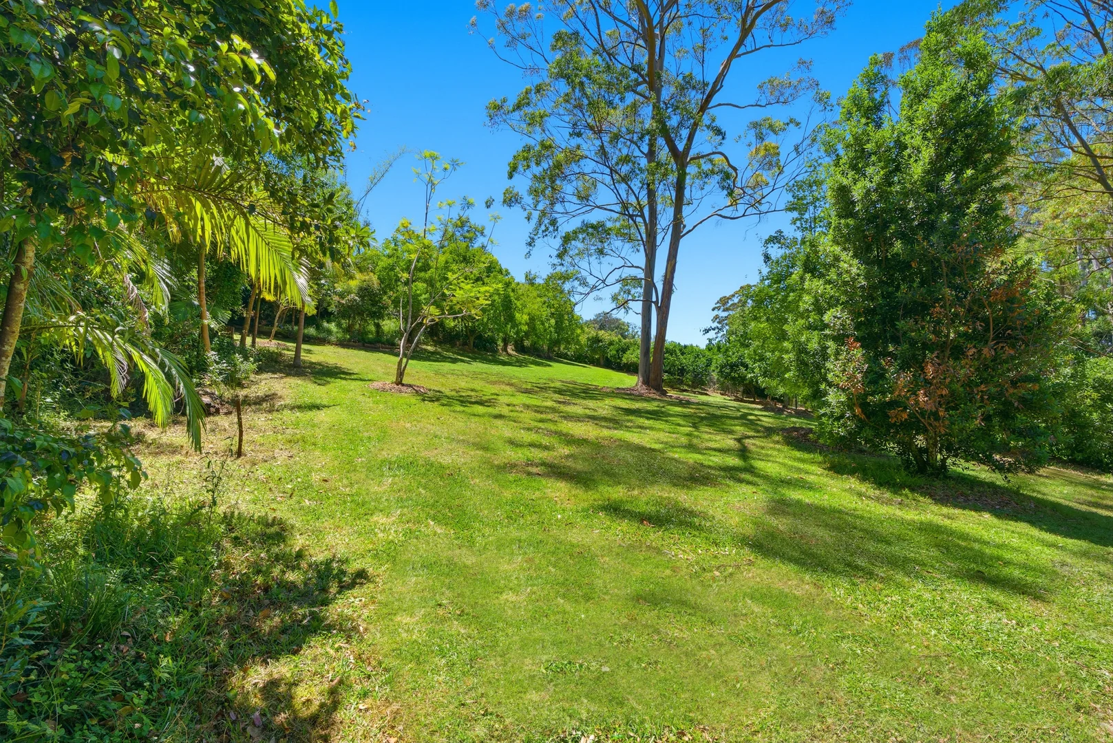 Additional image 22 of 7/55 Picketts Valley Road, Picketts Valley NSW 2251