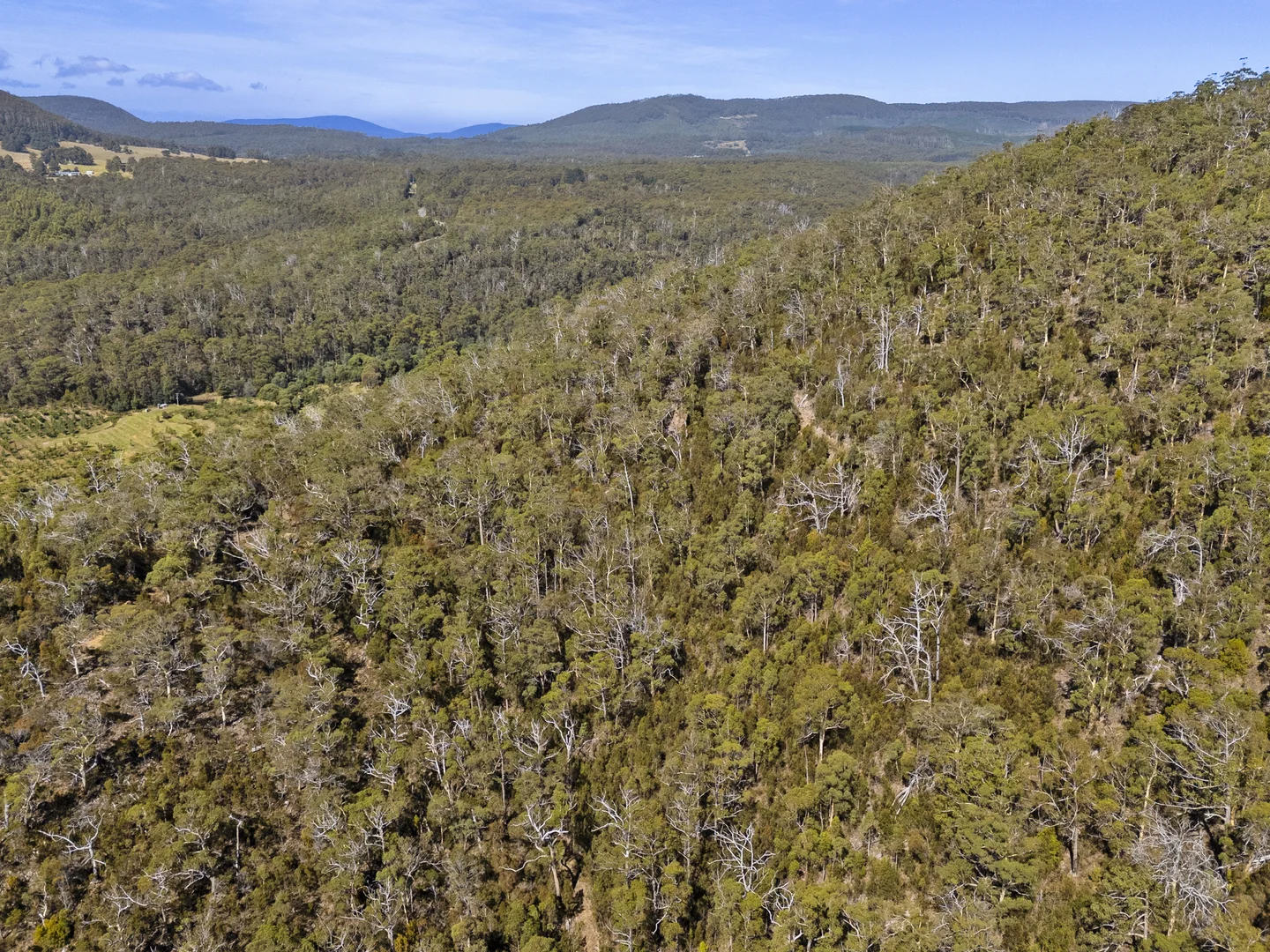 Additional image 28 of 2 and 3 White Beach Road, White Beach TAS 7184