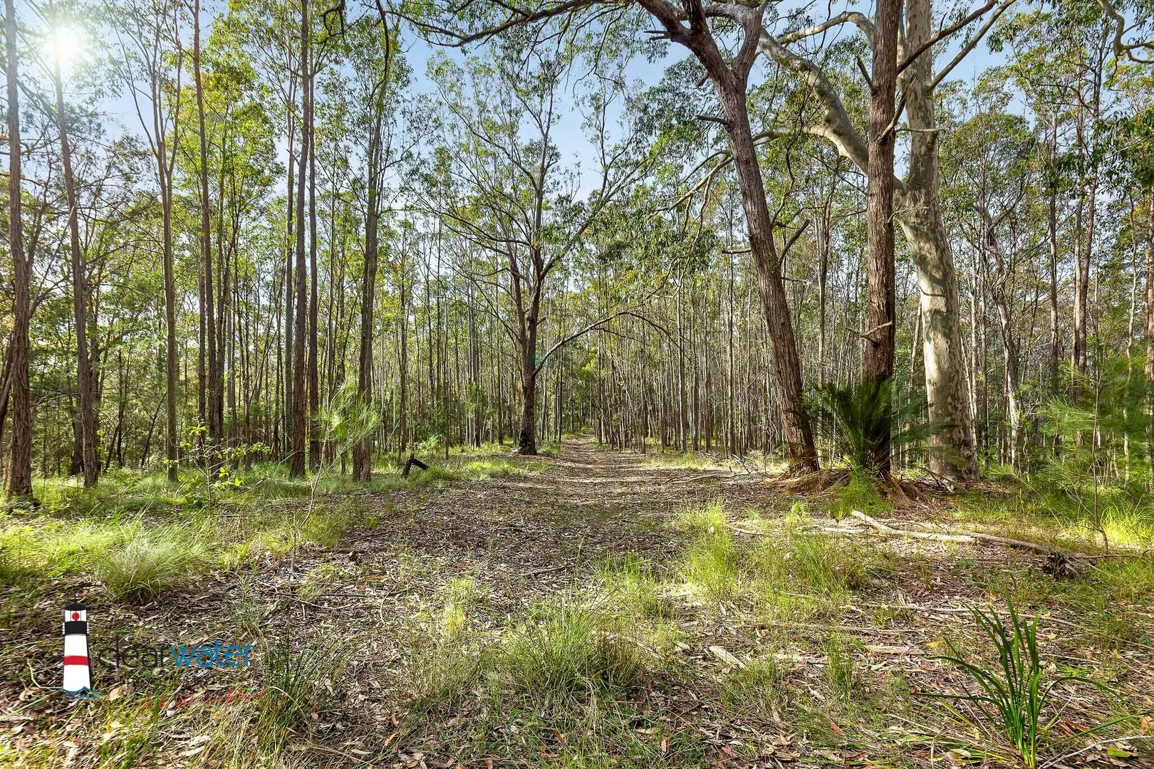 Additional image 12 of 209 Larrys Mountain Rd, Mogendoura NSW 2537