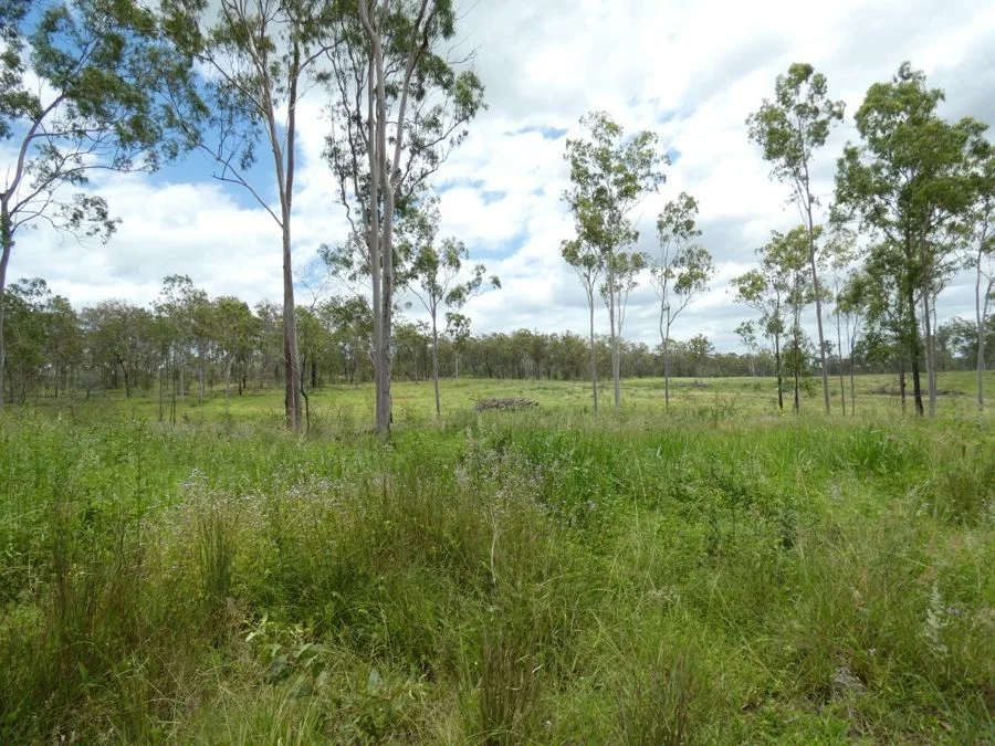 Additional image 8 of Lot 43 Moolyung Road, Waterloo QLD 4673