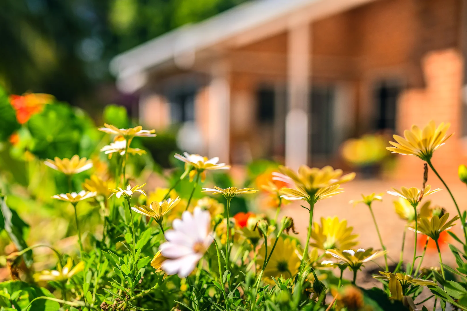 Additional image 20 of 2 Tibouchina Close, Bellingen NSW 2454