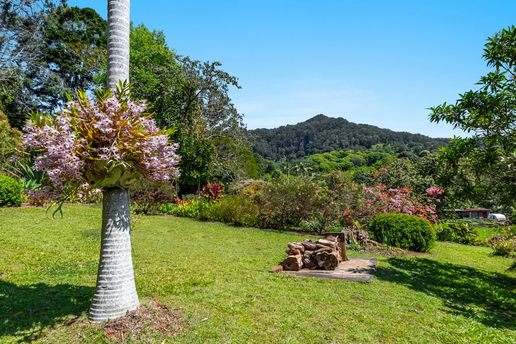 Additional image 24 of 197 Palmwoods Road, Palmwoods NSW 2482