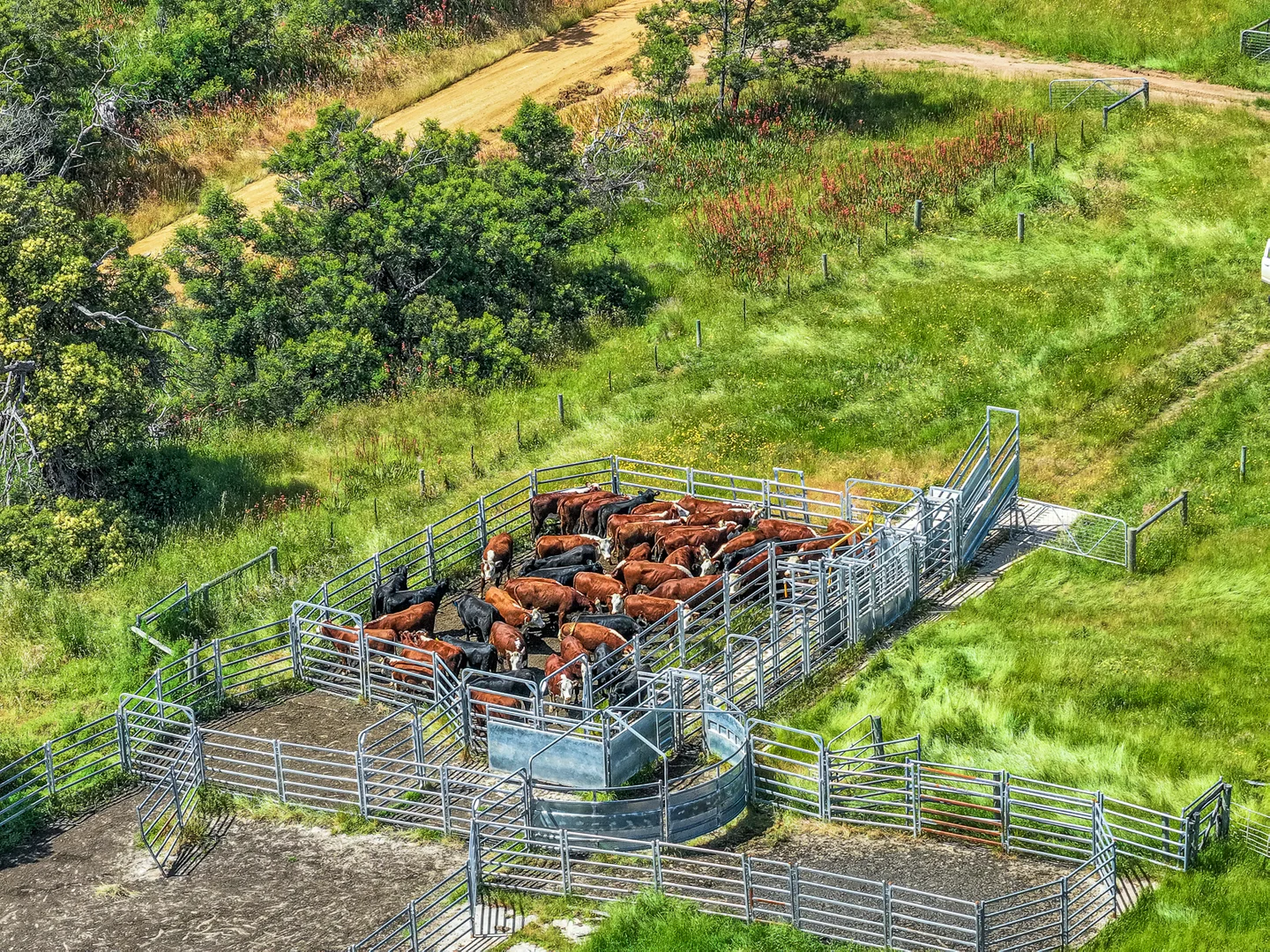 Additional image 14 of 1090 Six Chain Road, Killara VIC 3312