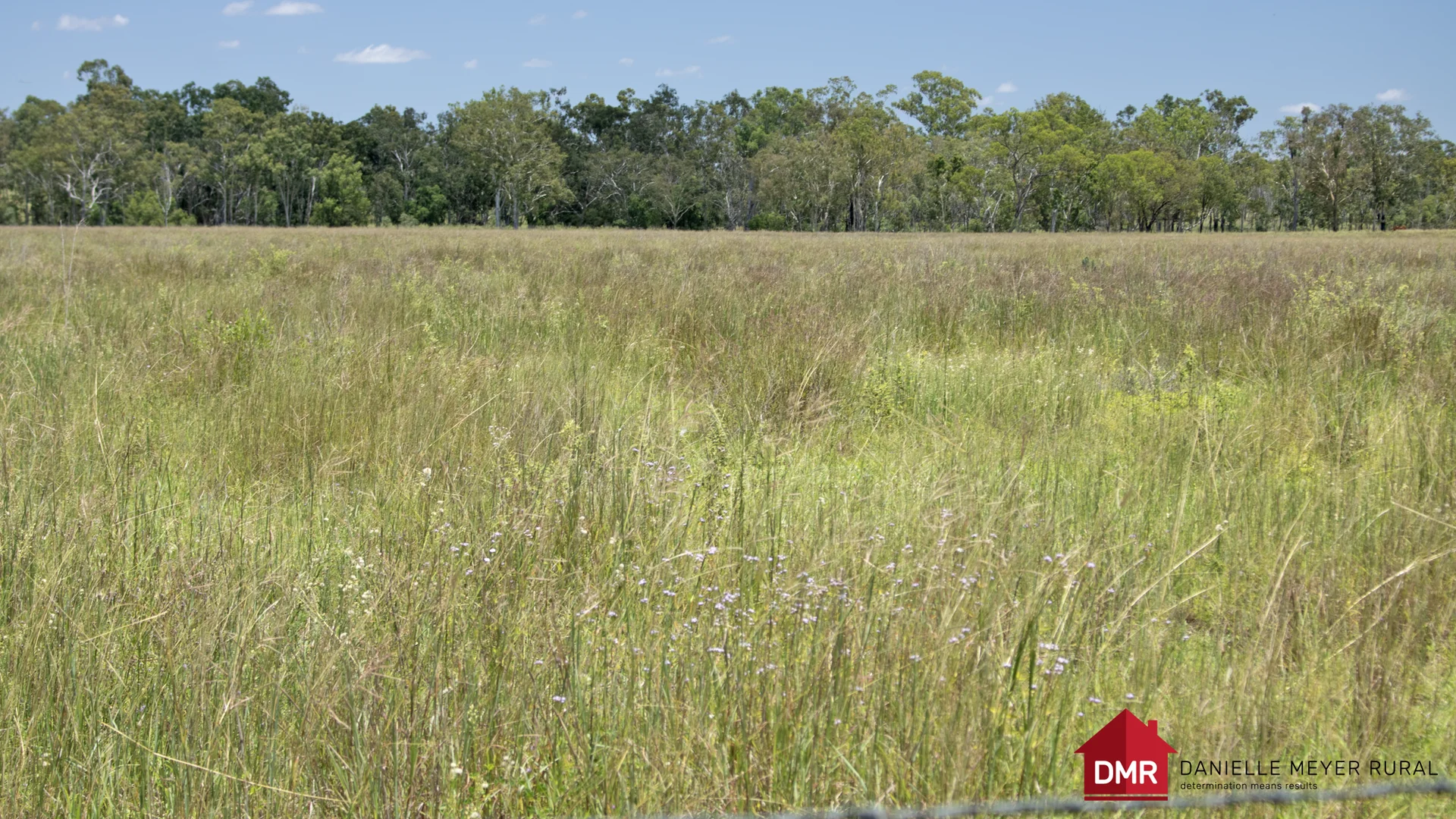 Additional image 31 of 8 Screening Plant Road, Cynthia QLD 4627