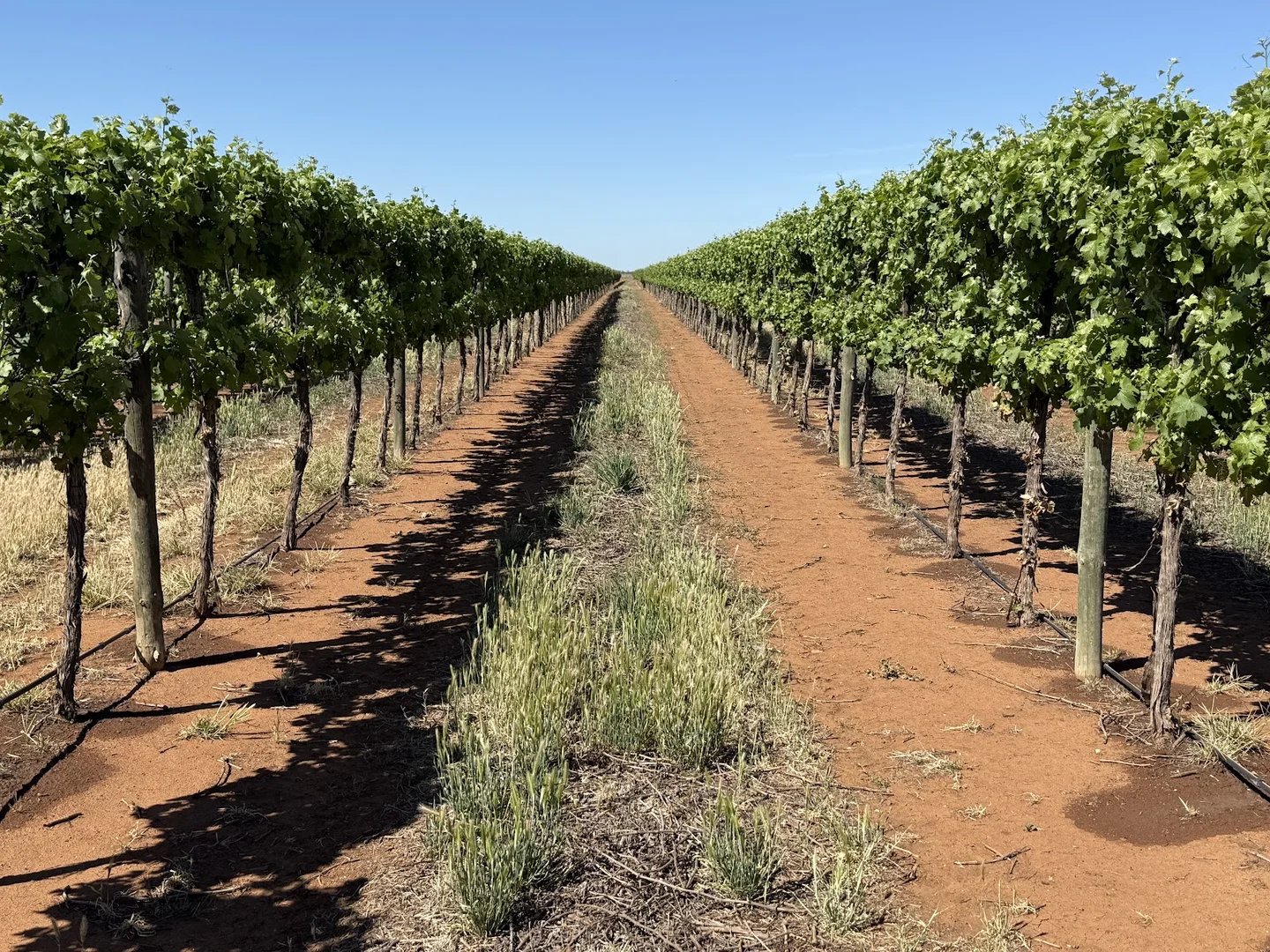 Additional image 18 of 391 Rossetto Road, Bilbul NSW 2680