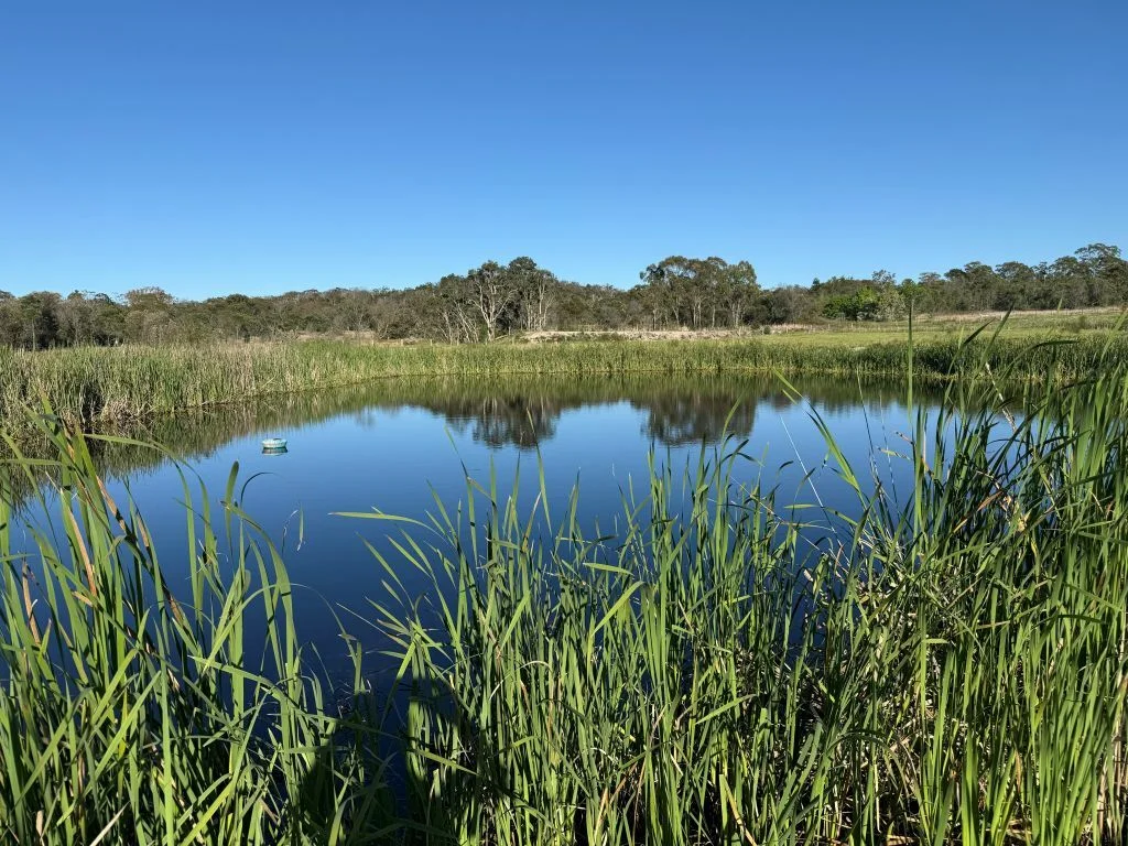 Additional image 11 of Lot 1/1065 Amiens Rd, Amiens QLD 4380