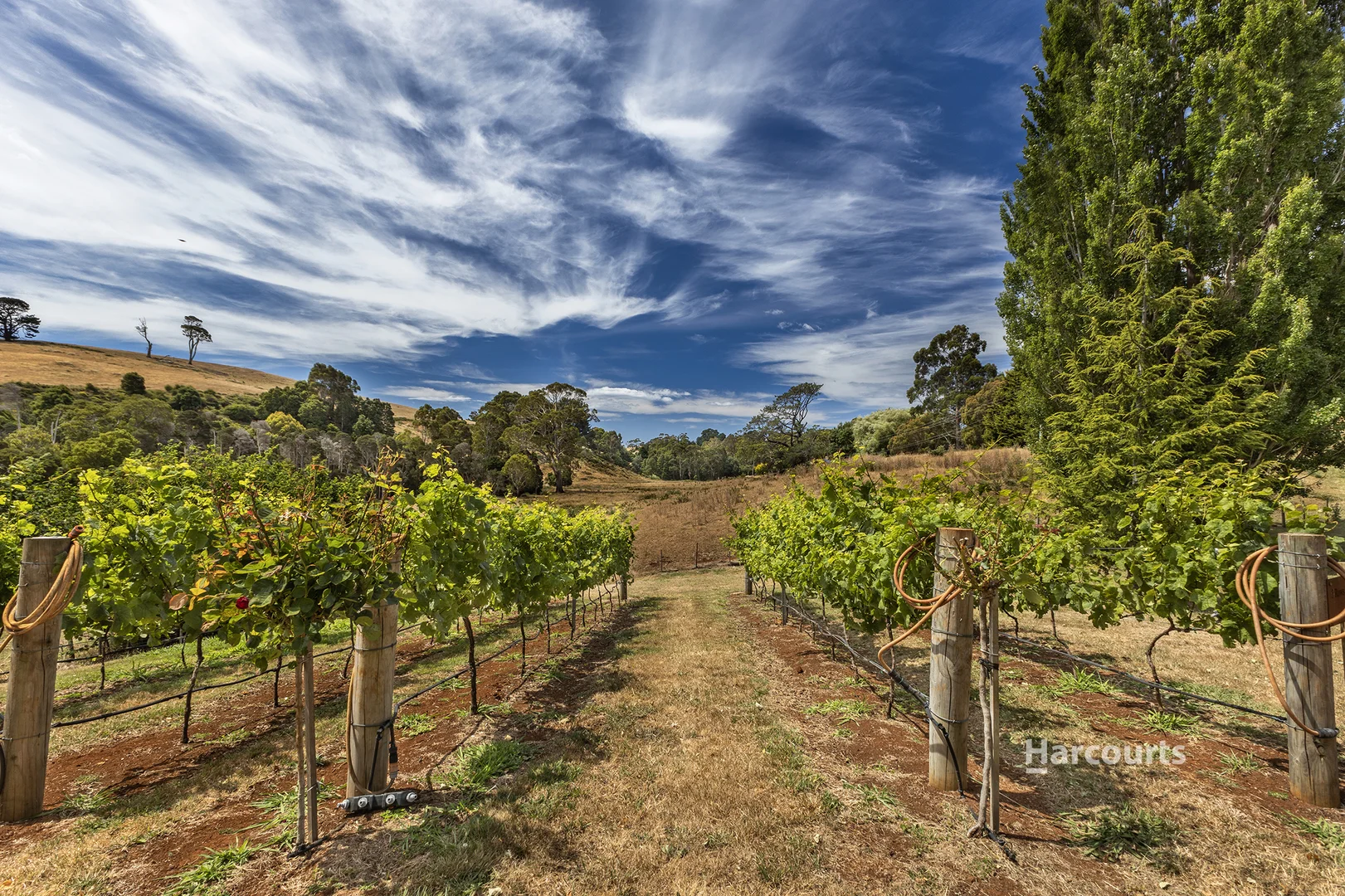 Additional image 35 of 186 Creamery Road, Sulphur Creek TAS 7316