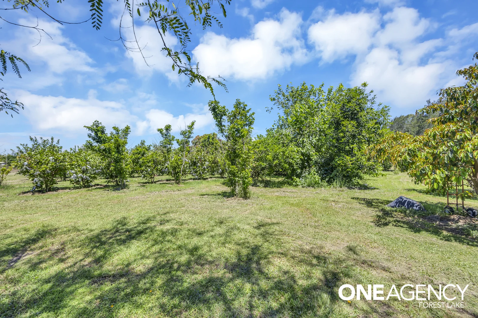 Additional image 27 of 47 Keith Street, Bundamba QLD 4304