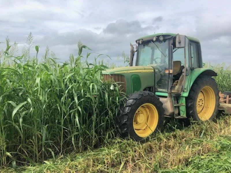 Additional image 8 of 190 Riverview Road, Calavos QLD 4670