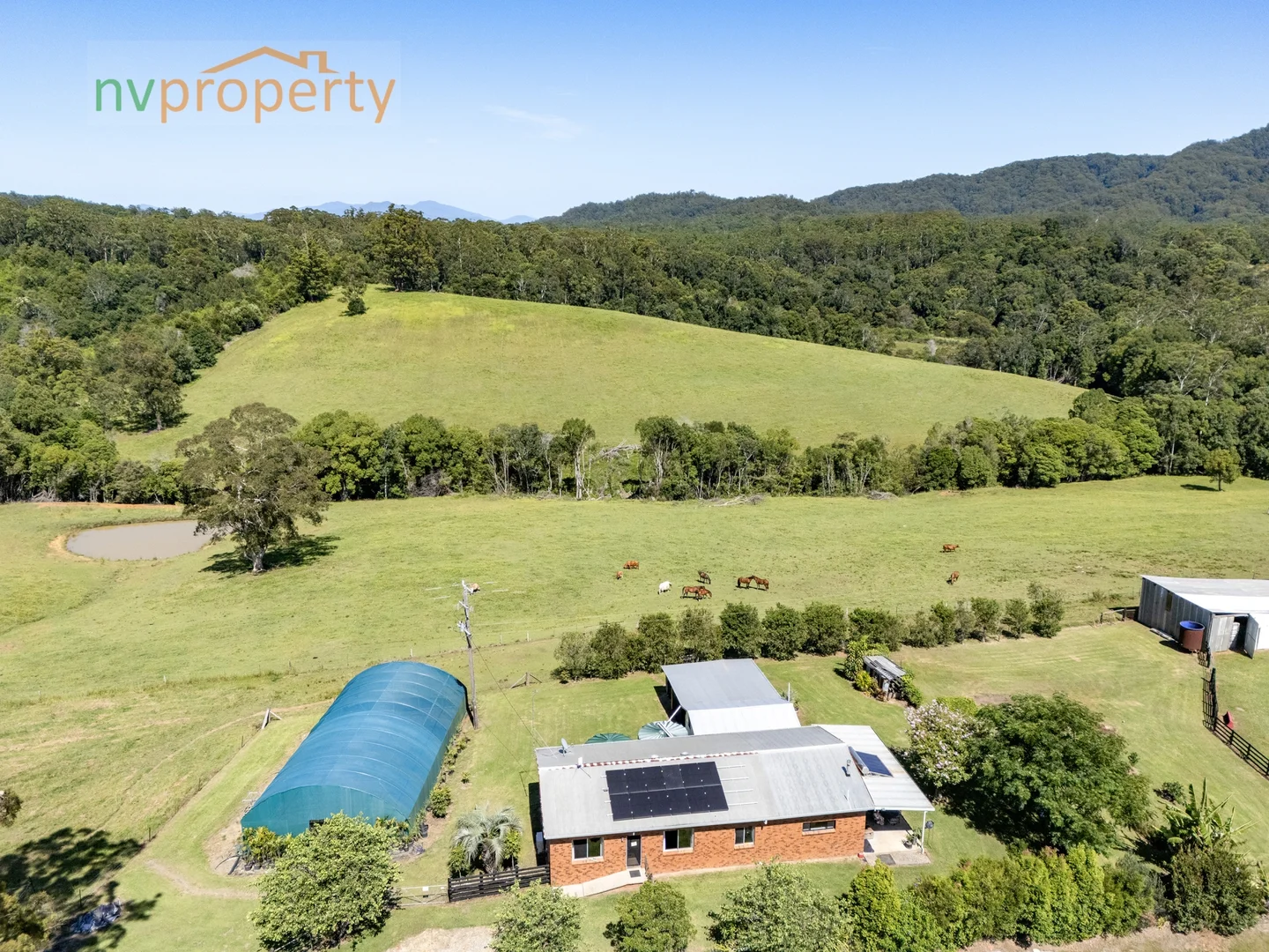 Additional image 11 of 657 Newee Creek Road, Newee Creek NSW 2447