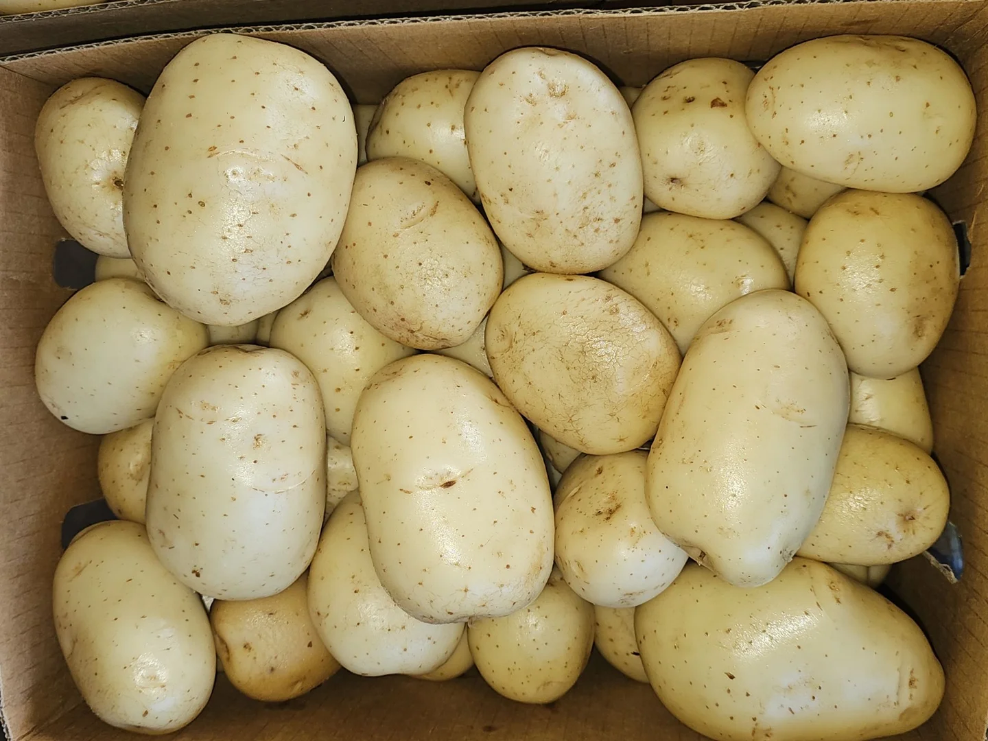 Additional image 17 of 190 Riverview Road, Calavos QLD 4670