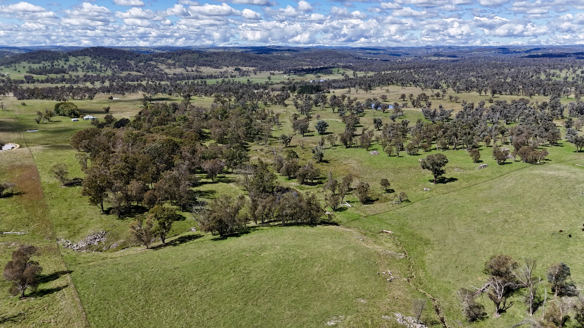 Additional image 8 of 3256 Niangala Rd, Walcha NSW 2354