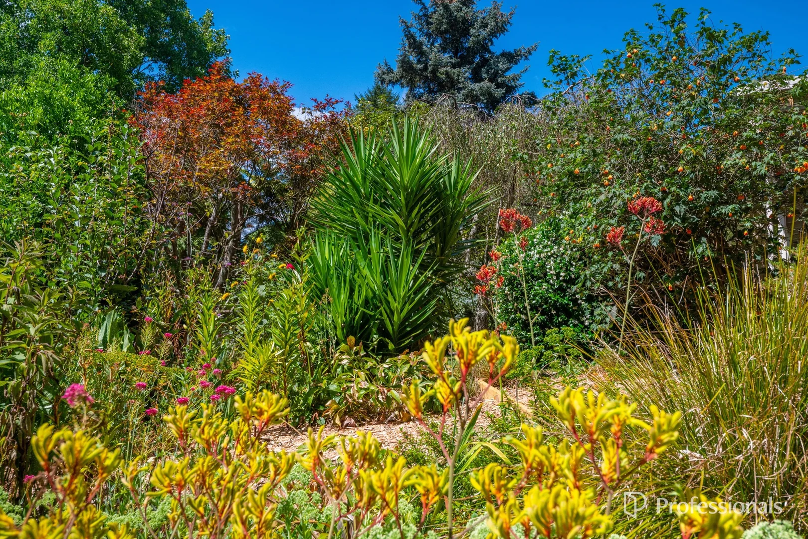 Additional image 20 of 20 Daveys Lane, Hoddles Creek VIC 3139