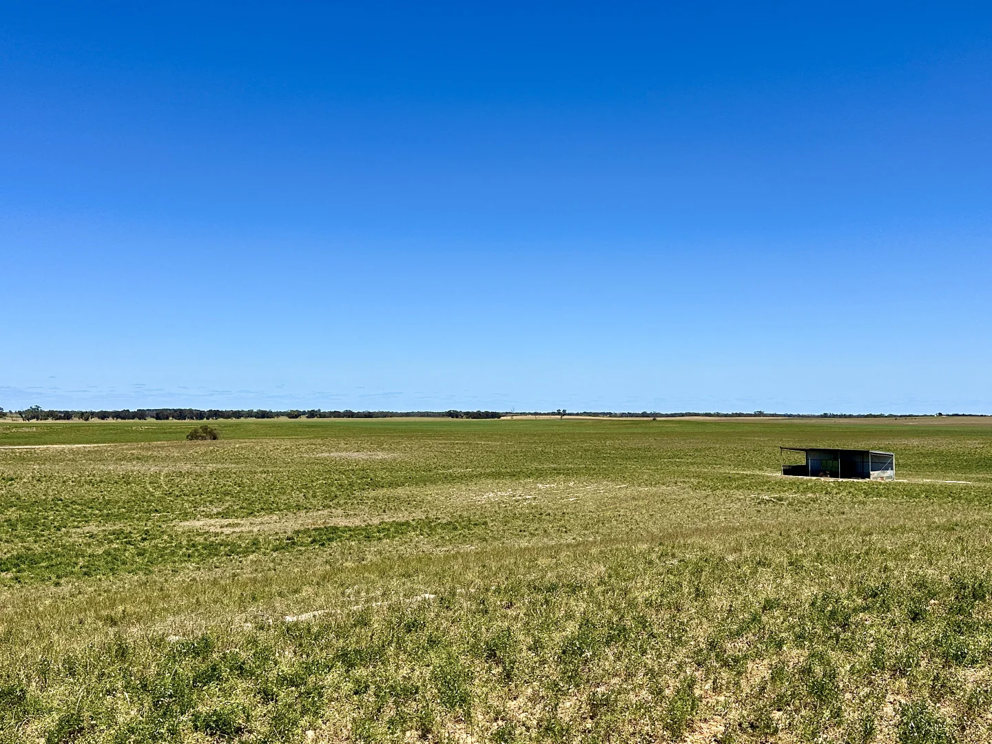 Additional image 17 of 2117 Senior Road, Senior SA 5268