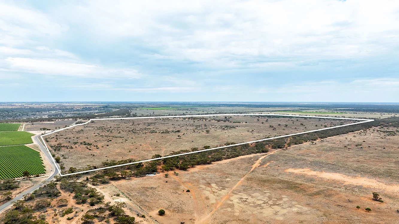 Section 83 Devlins Pound Road, Pooginook SA 5330