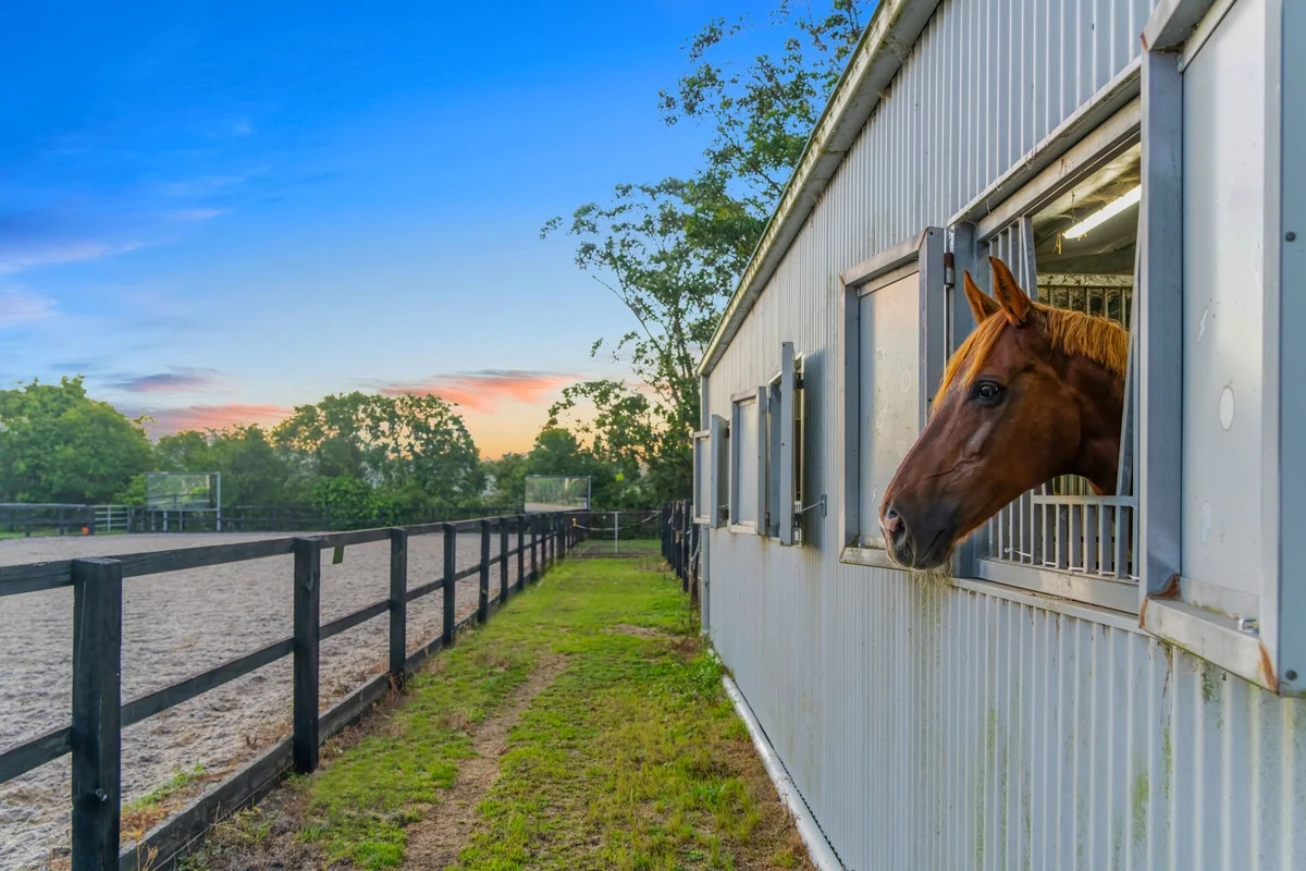 Additional image 2 of 229 Tooronga Road, Terrey Hills NSW 2084