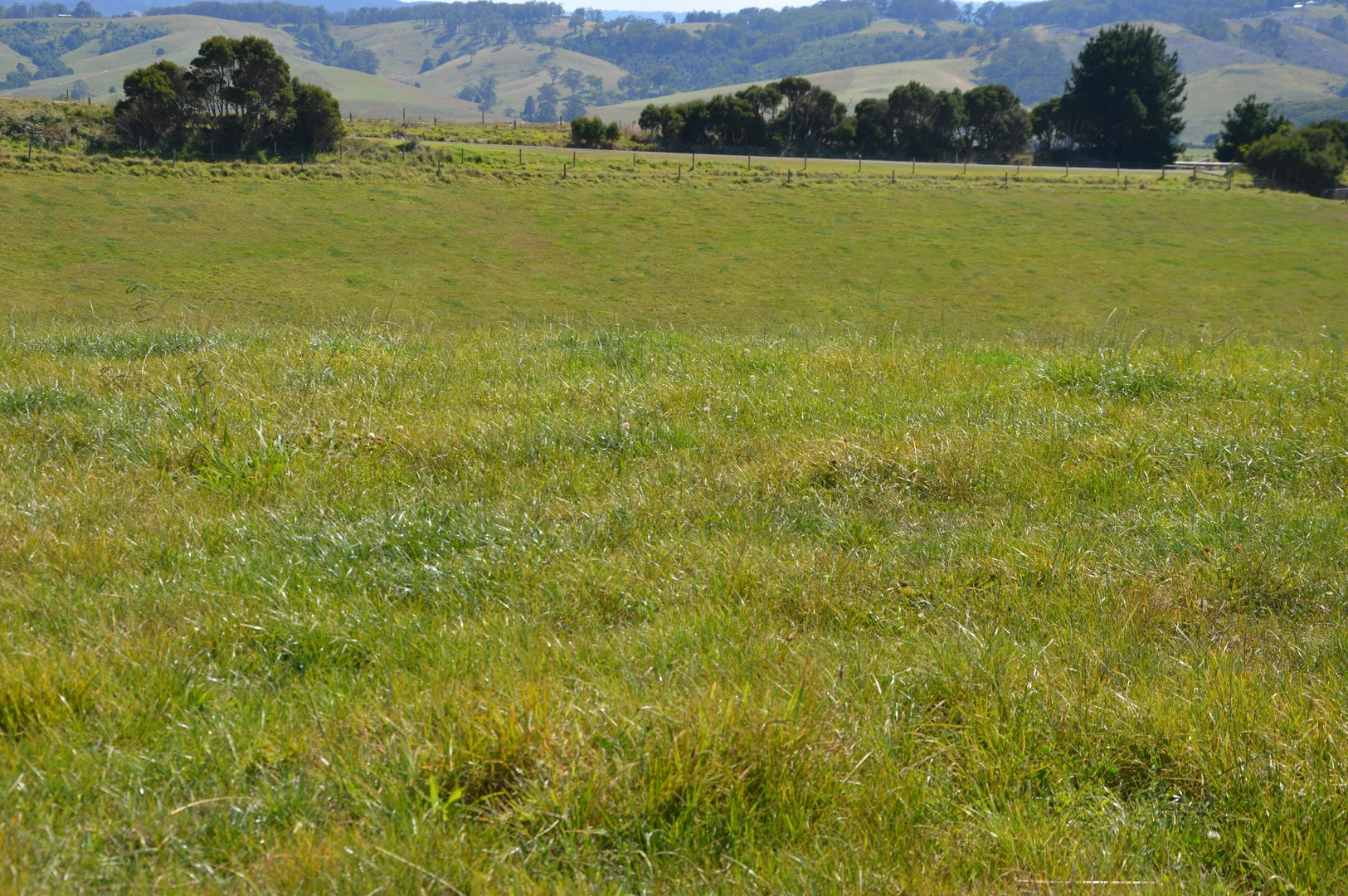 Additional image 10 of 20 Gryll Road, Welshpool VIC 3966